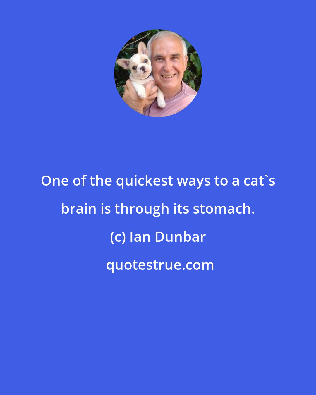 Ian Dunbar: One of the quickest ways to a cat's brain is through its stomach.