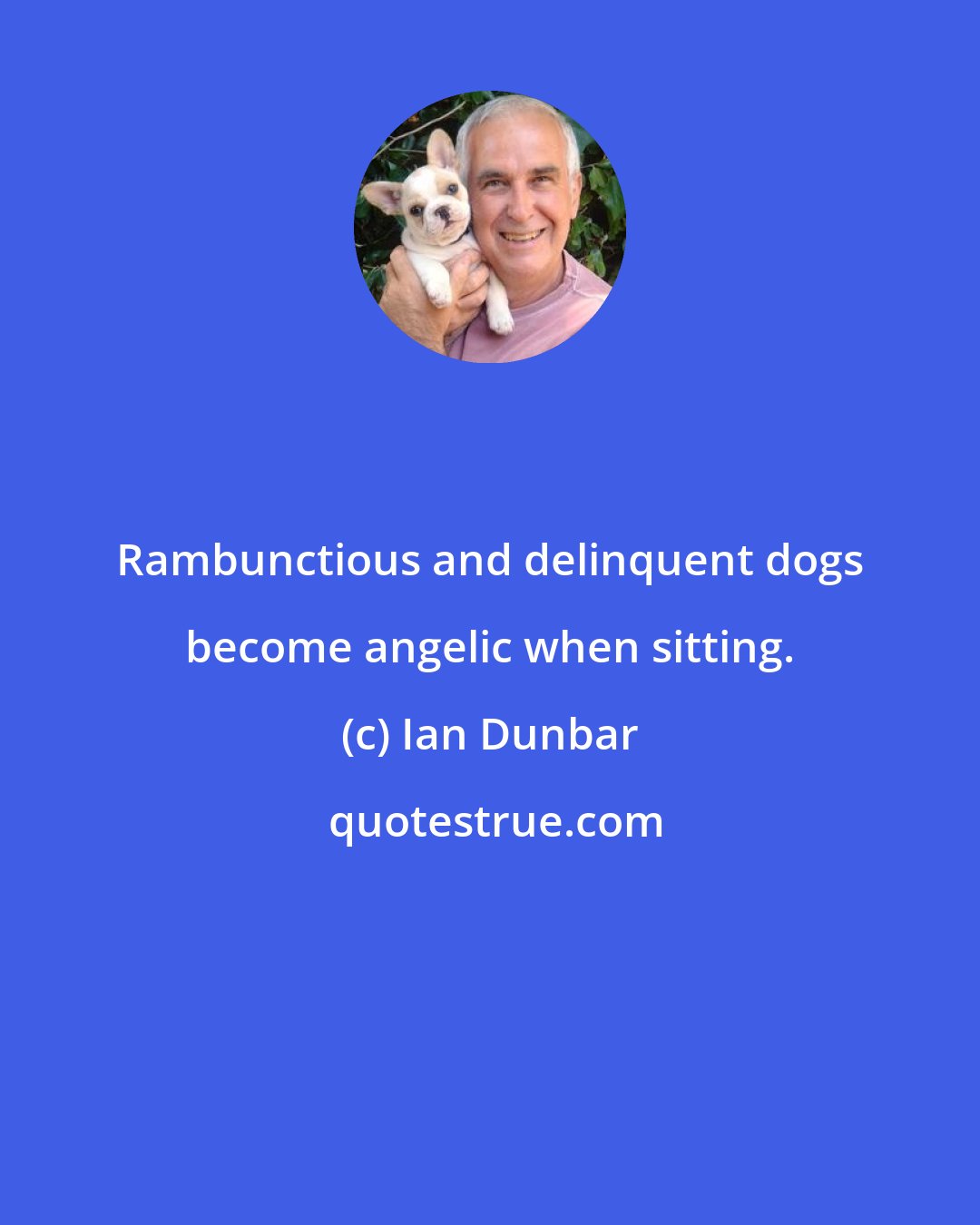 Ian Dunbar: Rambunctious and delinquent dogs become angelic when sitting.
