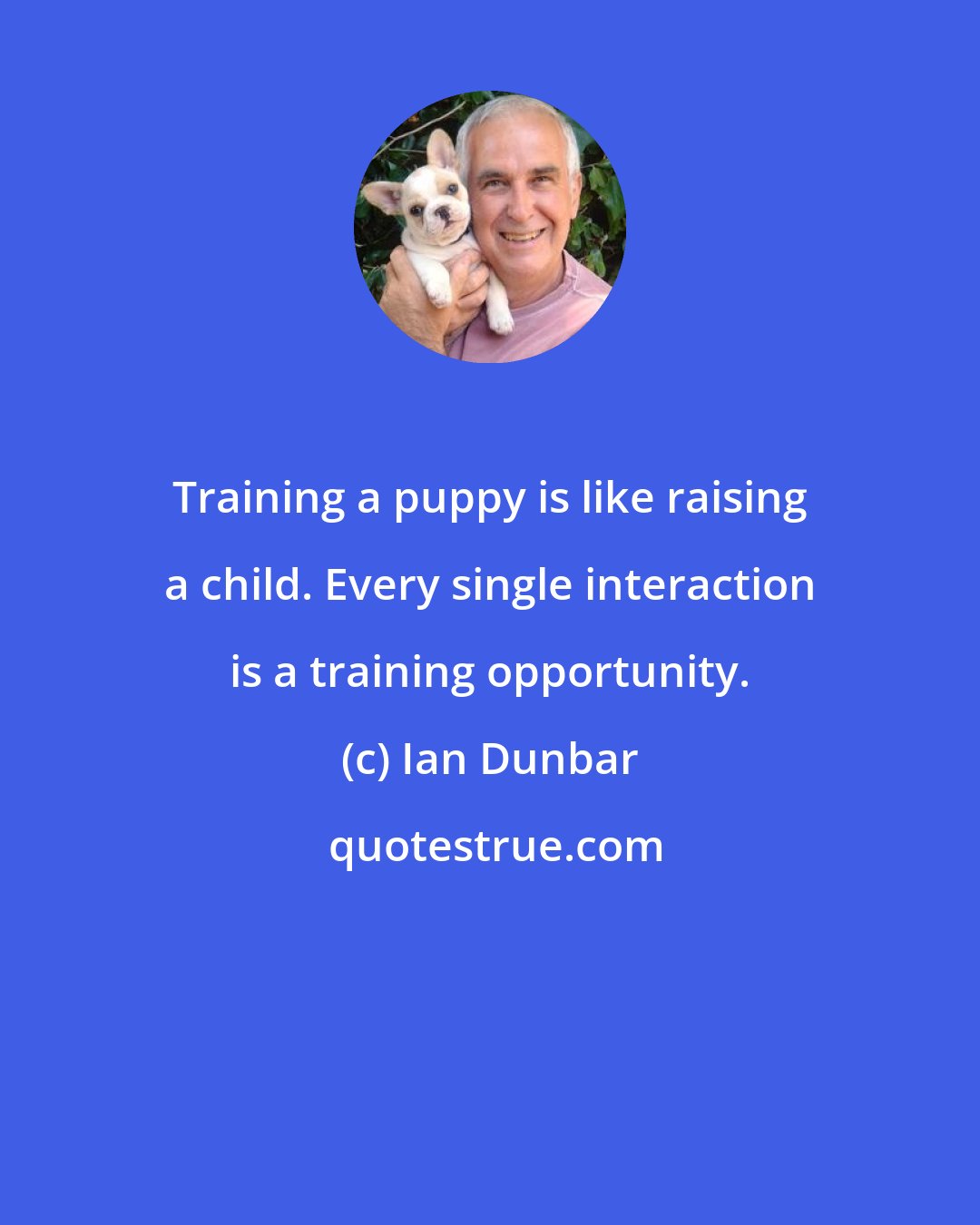 Ian Dunbar: Training a puppy is like raising a child. Every single interaction is a training opportunity.