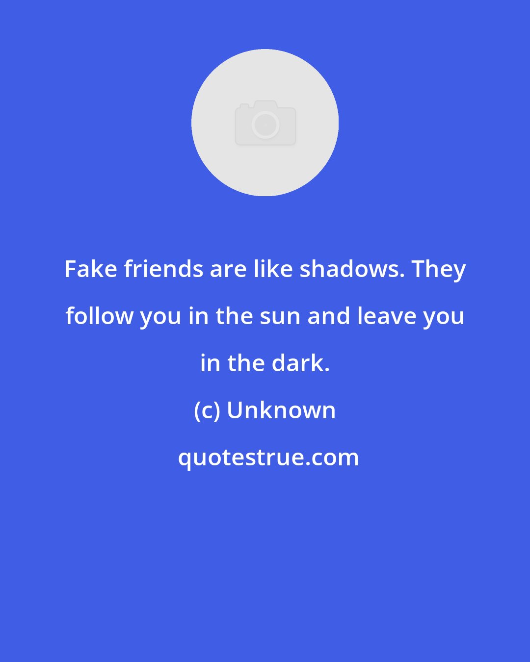 Unknown: Fake friends are like shadows. They follow you in the sun and leave you in the dark.