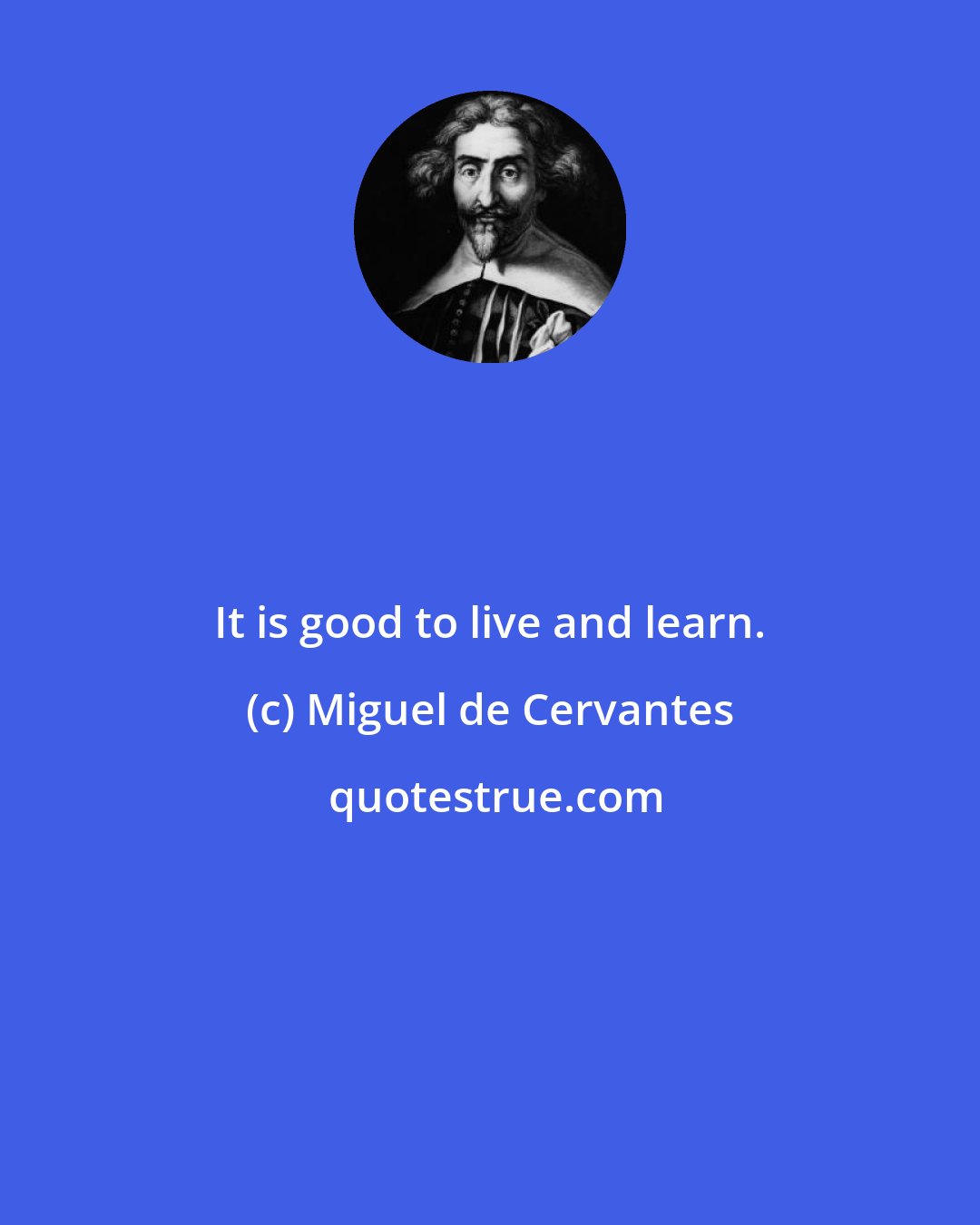 Miguel de Cervantes: It is good to live and learn.