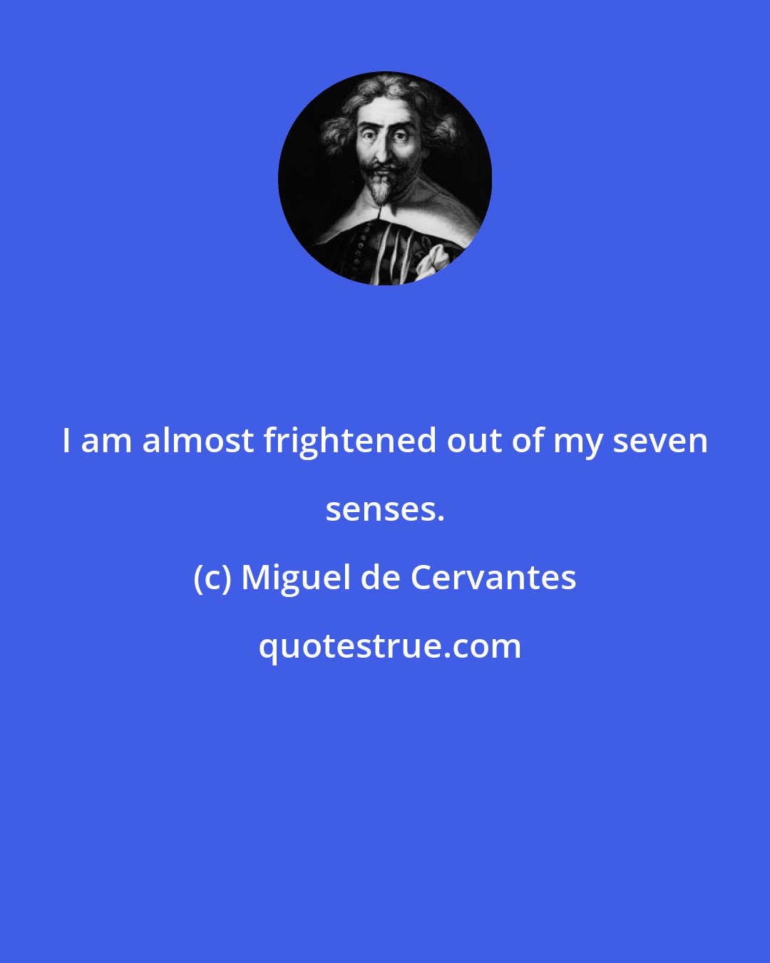 Miguel de Cervantes: I am almost frightened out of my seven senses.