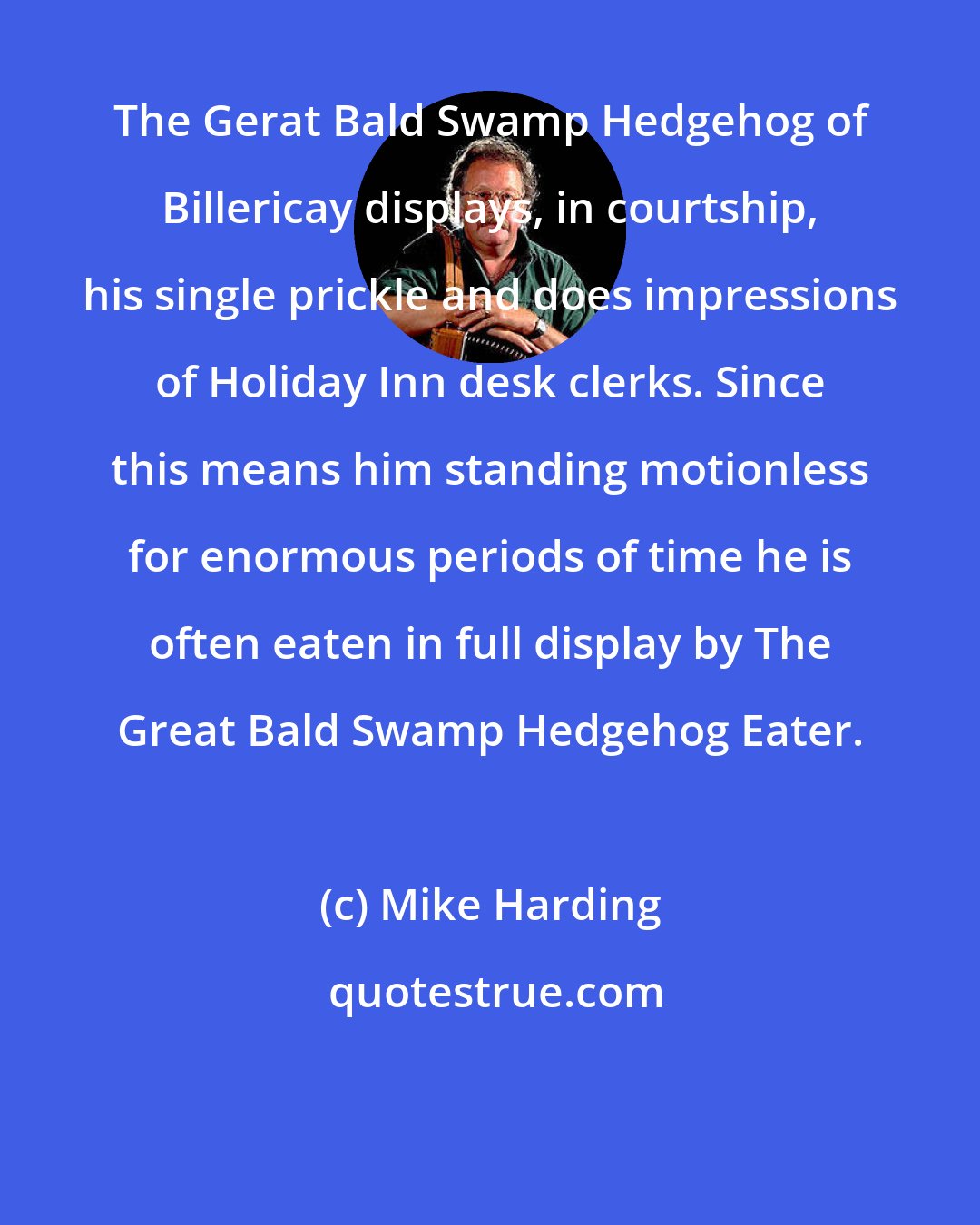 Mike Harding: The Gerat Bald Swamp Hedgehog of Billericay displays, in courtship, his single prickle and does impressions of Holiday Inn desk clerks. Since this means him standing motionless for enormous periods of time he is often eaten in full display by The Great Bald Swamp Hedgehog Eater.