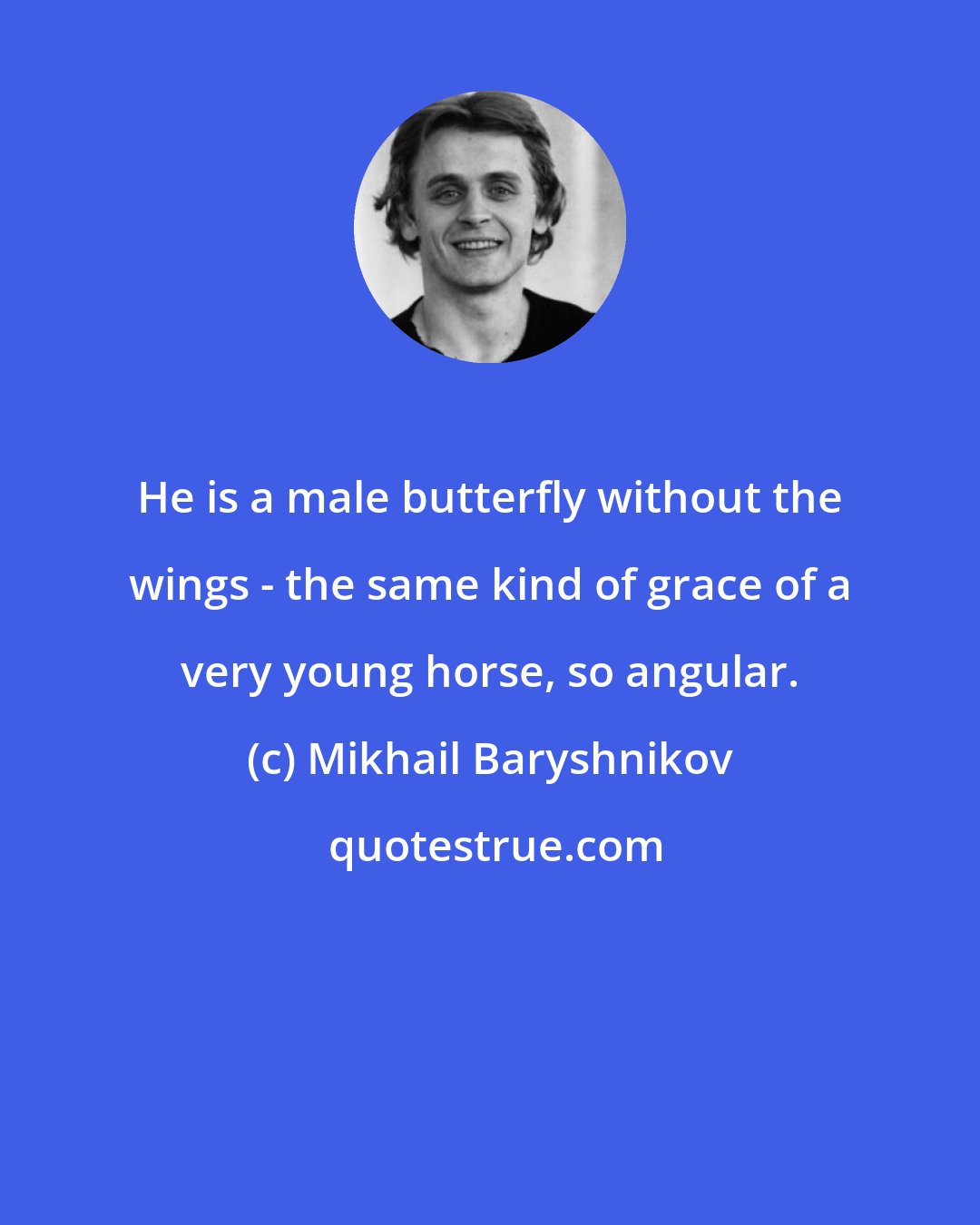 Mikhail Baryshnikov: He is a male butterfly without the wings - the same kind of grace of a very young horse, so angular.