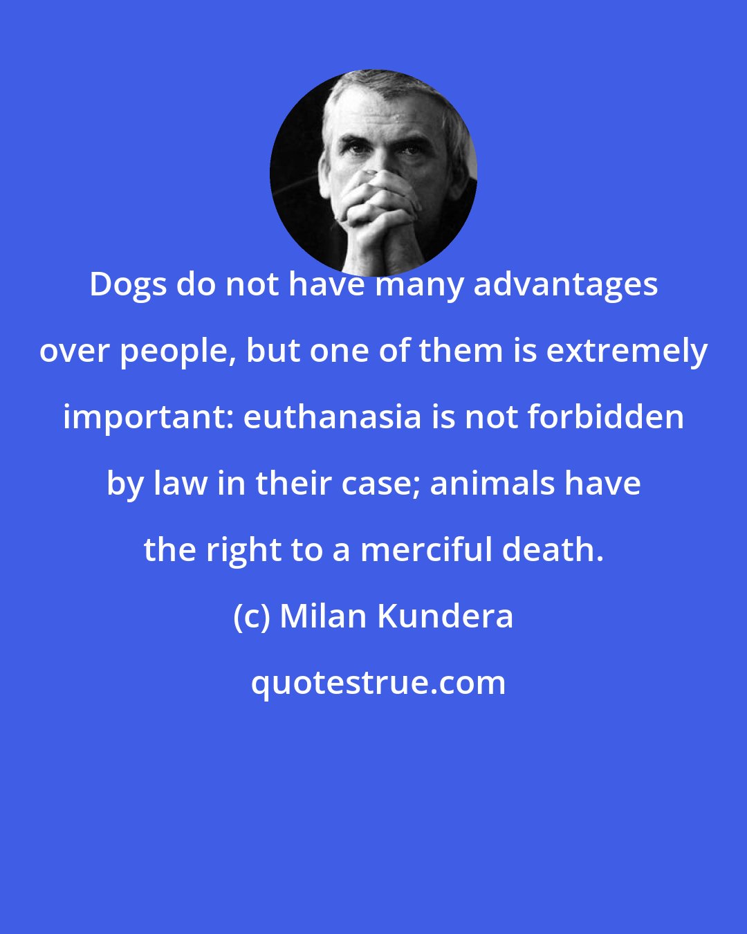 Milan Kundera: Dogs do not have many advantages over people, but one of them is extremely important: euthanasia is not forbidden by law in their case; animals have the right to a merciful death.