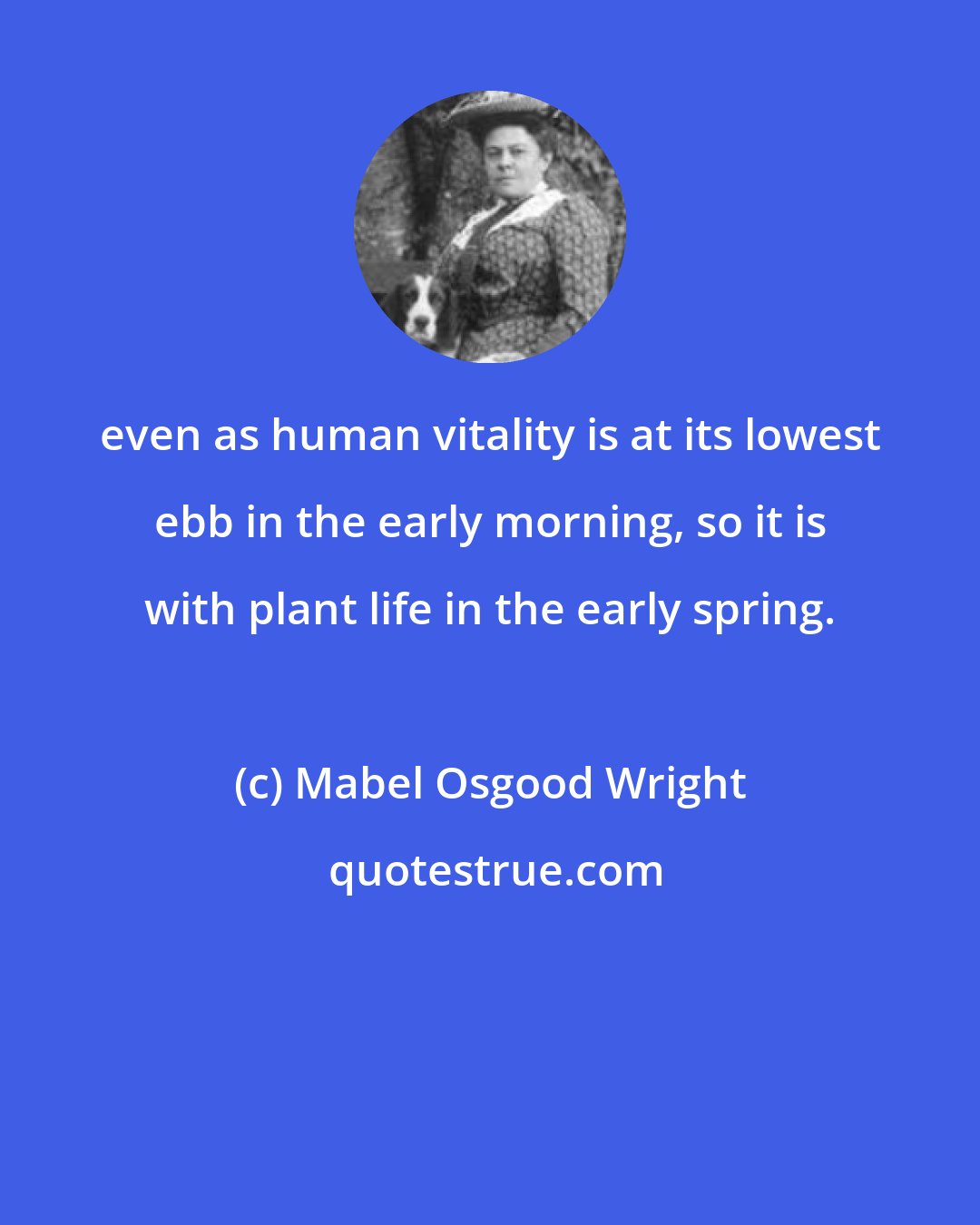 Mabel Osgood Wright: even as human vitality is at its lowest ebb in the early morning, so it is with plant life in the early spring.