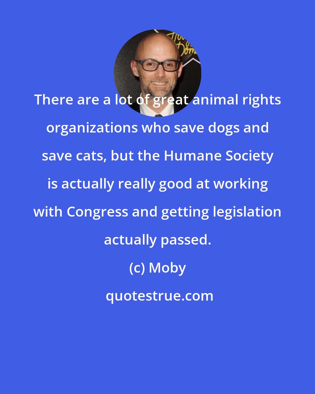 Moby: There are a lot of great animal rights organizations who save dogs and save cats, but the Humane Society is actually really good at working with Congress and getting legislation actually passed.