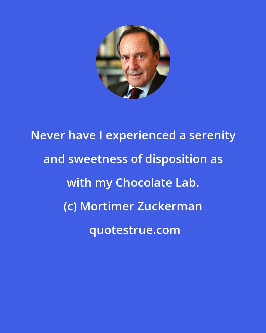 Mortimer Zuckerman: Never have I experienced a serenity and sweetness of disposition as with my Chocolate Lab.