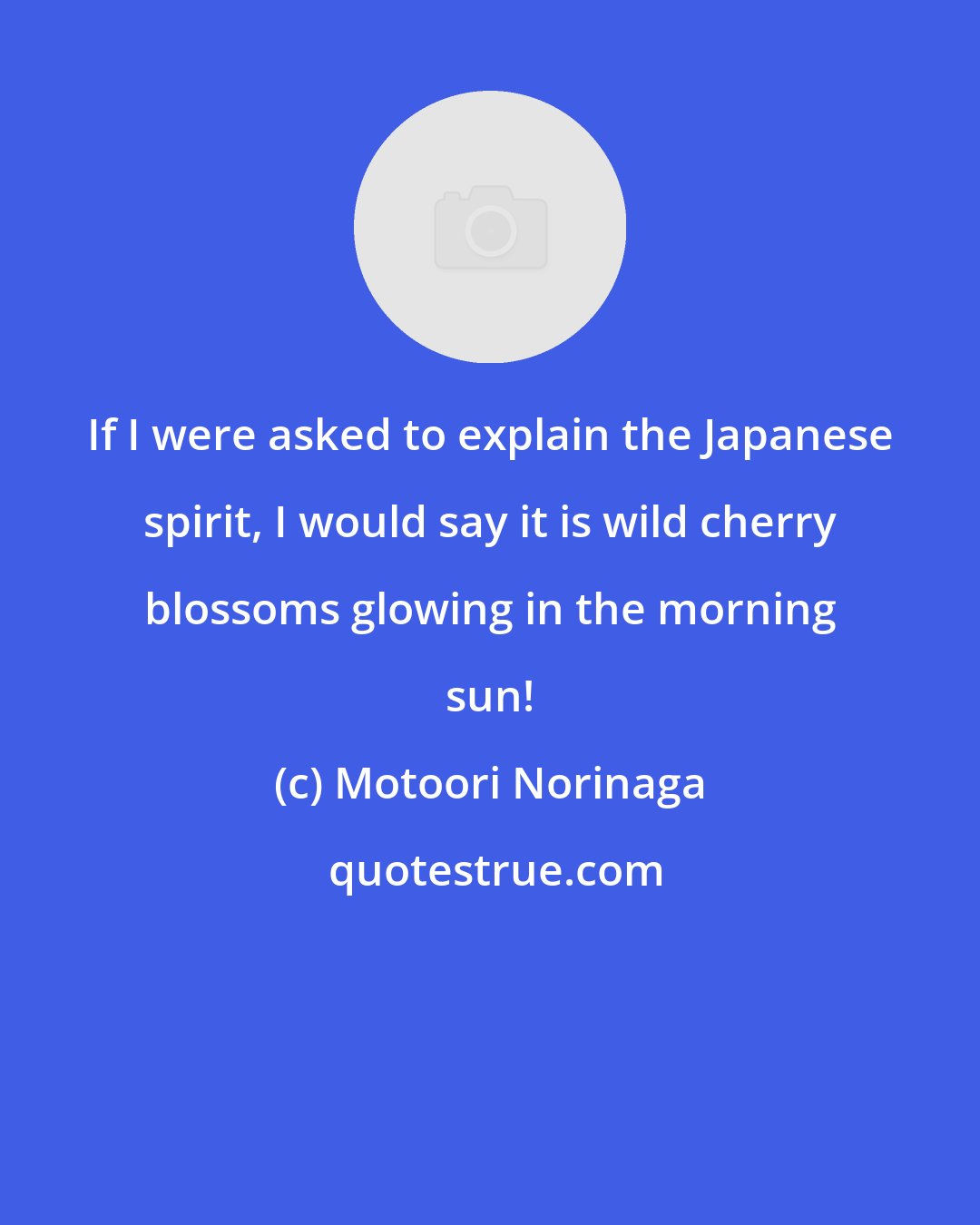 Motoori Norinaga: If I were asked to explain the Japanese spirit, I would say it is wild cherry blossoms glowing in the morning sun!