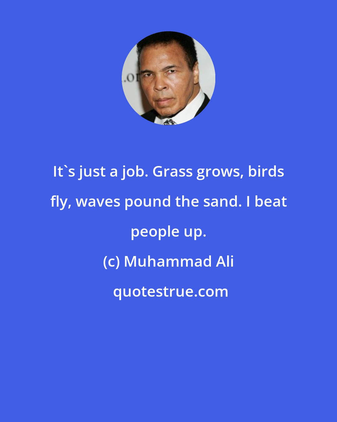 Muhammad Ali: It's just a job. Grass grows, birds fly, waves pound the sand. I beat people up.