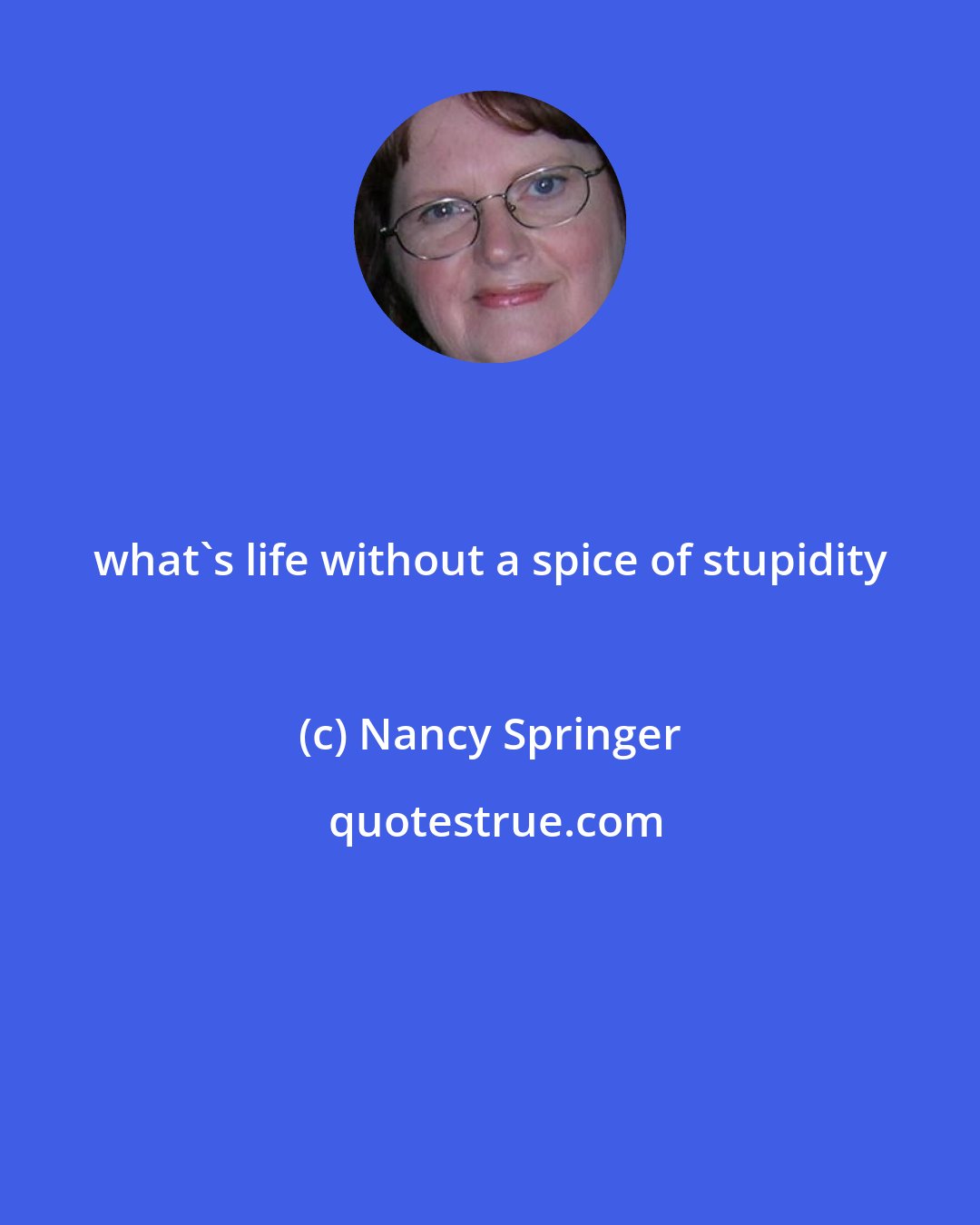 Nancy Springer: what's life without a spice of stupidity