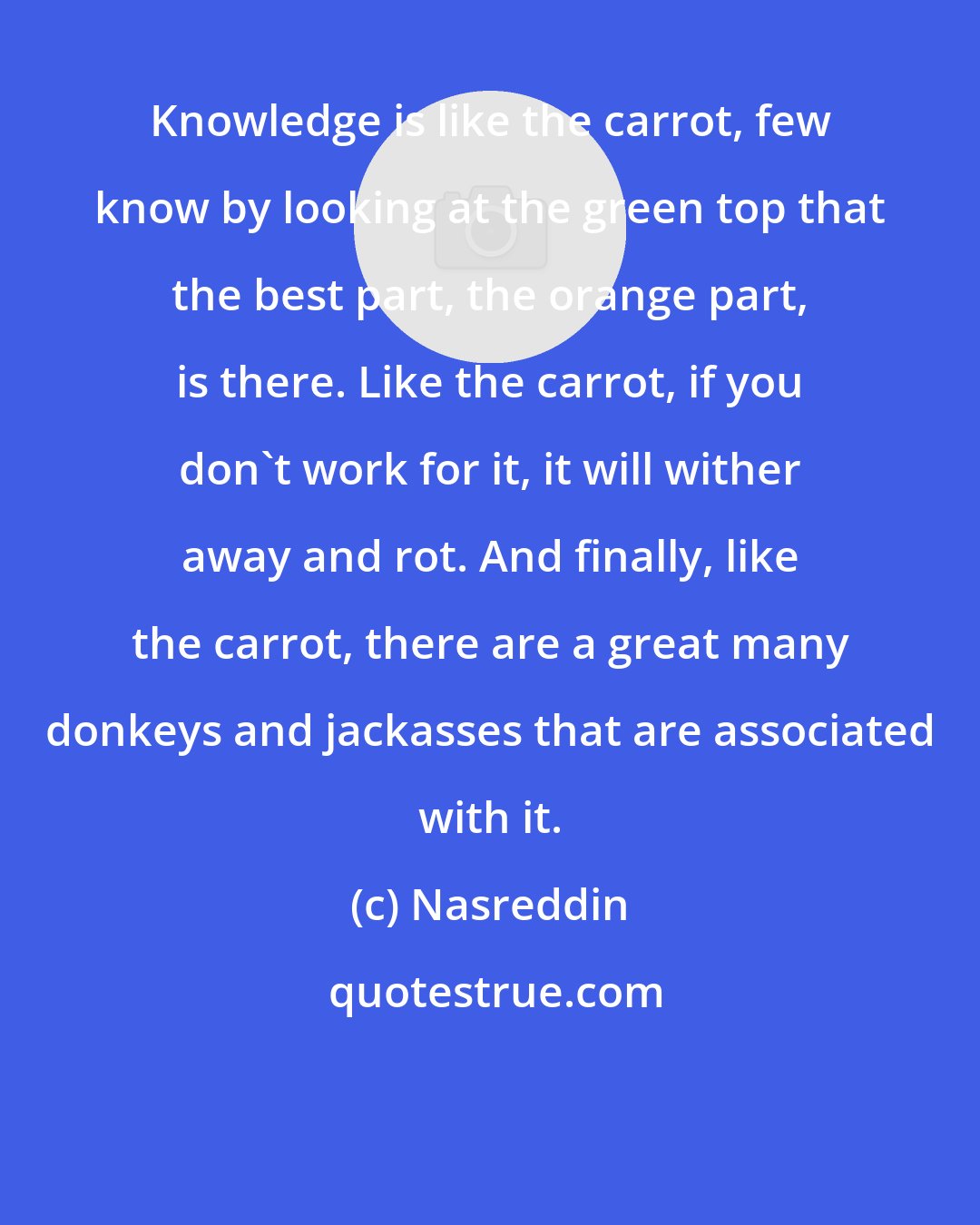 Nasreddin: Knowledge is like the carrot, few know by looking at the green top that the best part, the orange part, is there. Like the carrot, if you don't work for it, it will wither away and rot. And finally, like the carrot, there are a great many donkeys and jackasses that are associated with it.