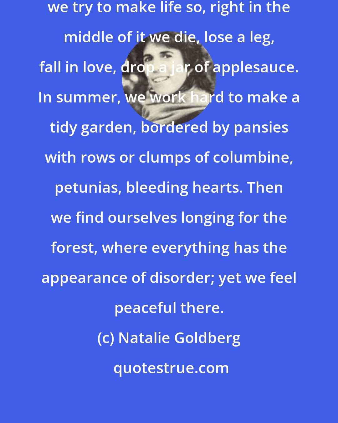 Natalie Goldberg: Life is not orderly. No matter how we try to make life so, right in the middle of it we die, lose a leg, fall in love, drop a jar of applesauce. In summer, we work hard to make a tidy garden, bordered by pansies with rows or clumps of columbine, petunias, bleeding hearts. Then we find ourselves longing for the forest, where everything has the appearance of disorder; yet we feel peaceful there.