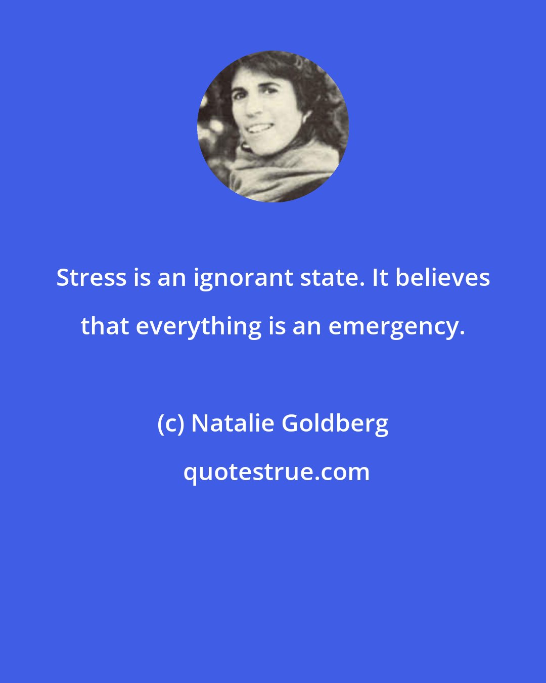 Natalie Goldberg: Stress is an ignorant state. It believes that everything is an emergency.