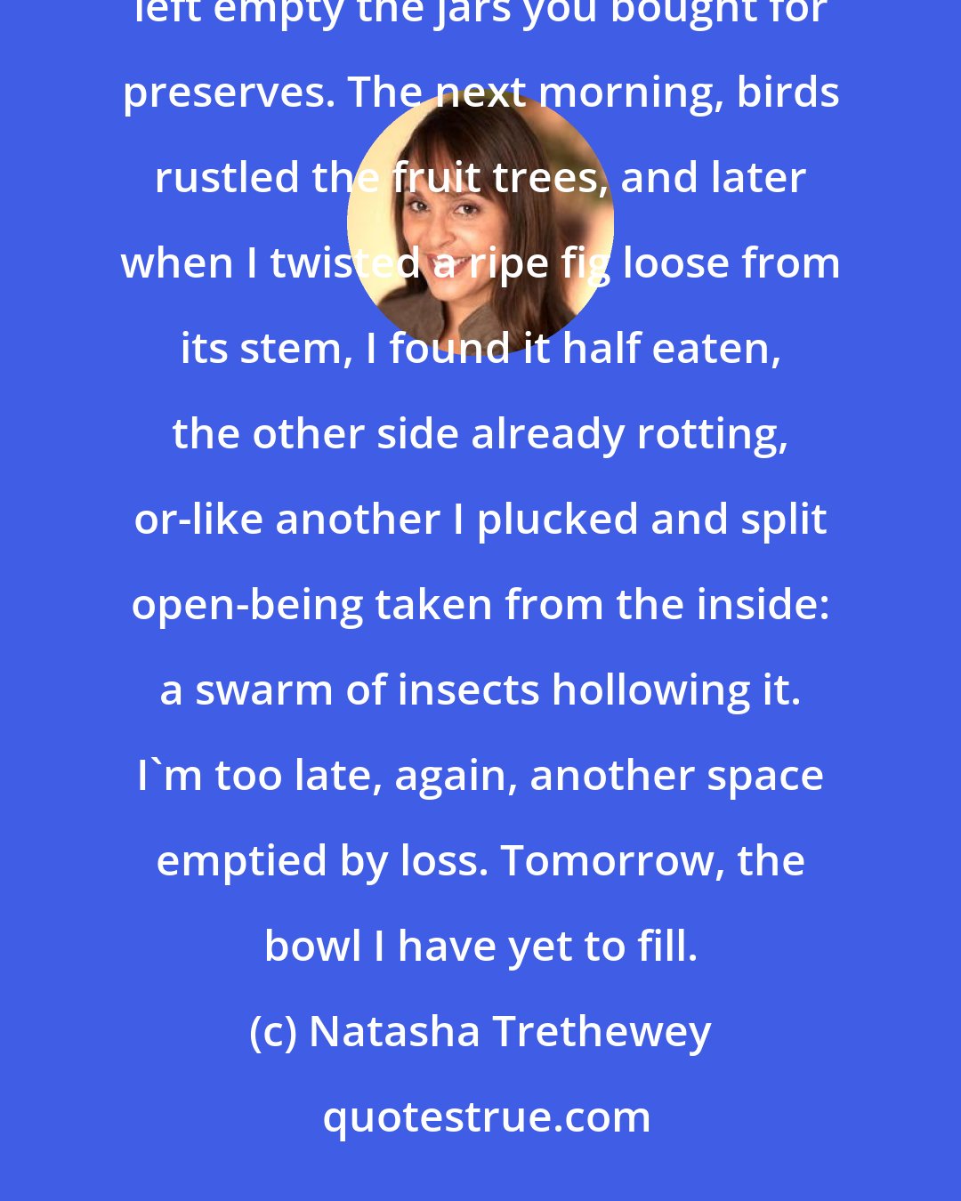 Natasha Trethewey: First, I emptied the closets of your clothes, threw out the bowl of fruit, bruised from your touch, left empty the jars you bought for preserves. The next morning, birds rustled the fruit trees, and later when I twisted a ripe fig loose from its stem, I found it half eaten, the other side already rotting, or-like another I plucked and split open-being taken from the inside: a swarm of insects hollowing it. I'm too late, again, another space emptied by loss. Tomorrow, the bowl I have yet to fill.