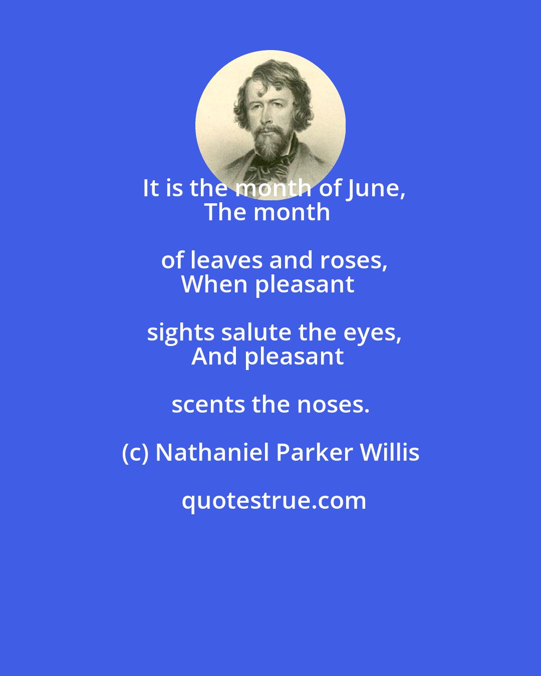 Nathaniel Parker Willis: It is the month of June,
The month of leaves and roses,
When pleasant sights salute the eyes,
And pleasant scents the noses.
