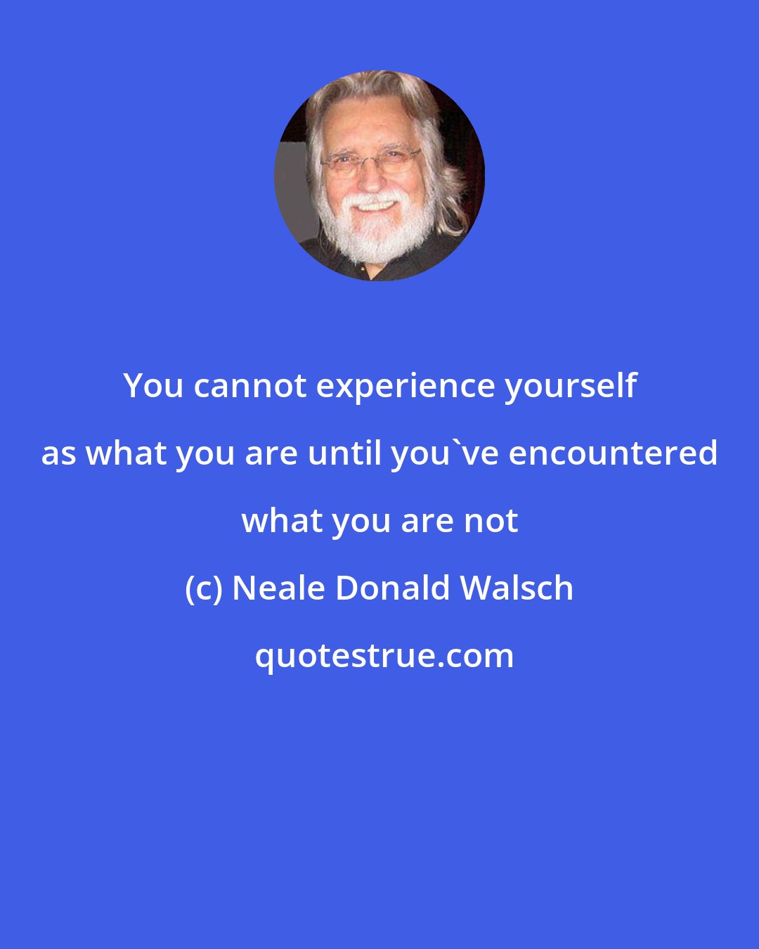 Neale Donald Walsch: You cannot experience yourself as what you are until you've encountered what you are not