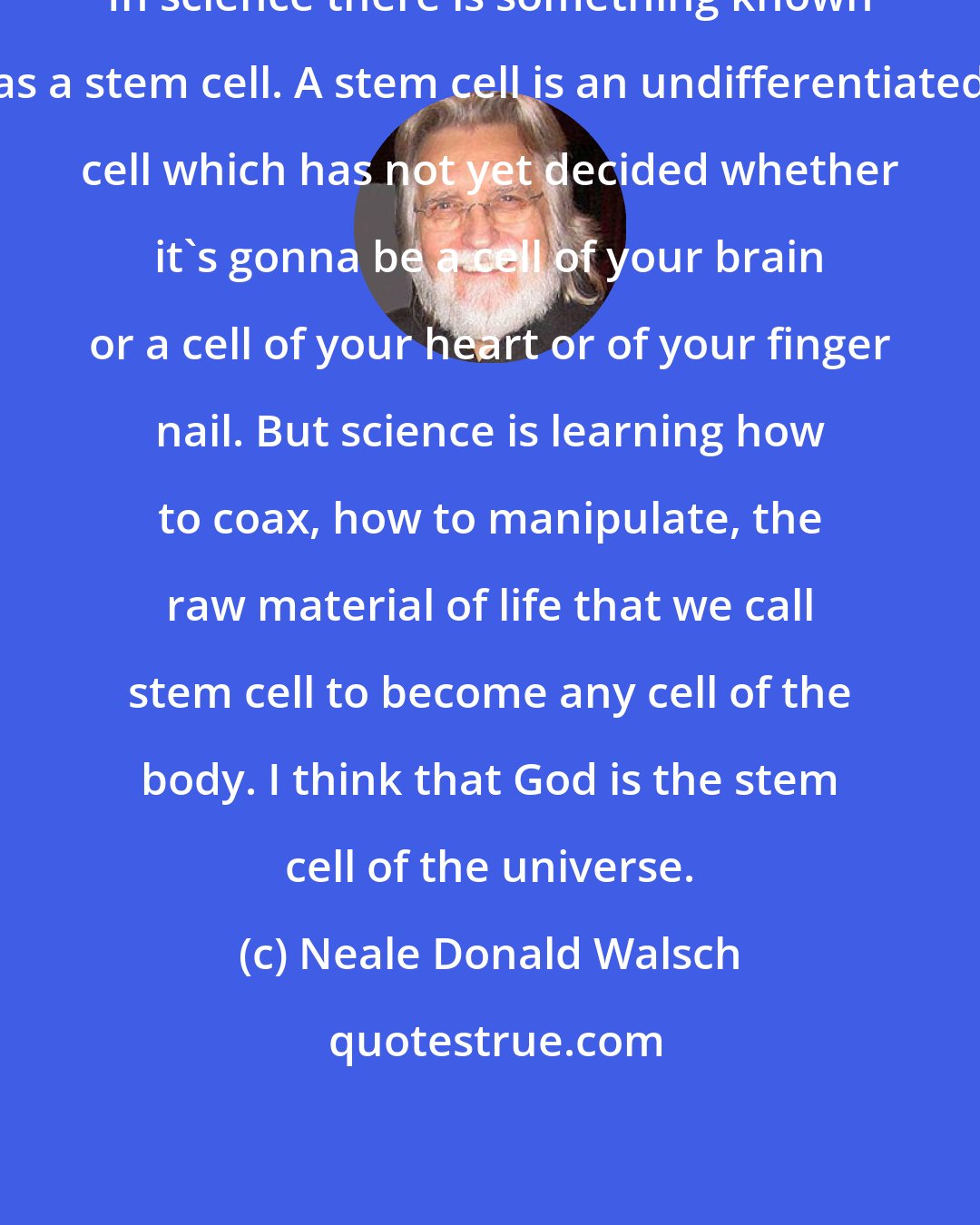 Neale Donald Walsch: In science there is something known as a stem cell. A stem cell is an undifferentiated cell which has not yet decided whether it's gonna be a cell of your brain or a cell of your heart or of your finger nail. But science is learning how to coax, how to manipulate, the raw material of life that we call stem cell to become any cell of the body. I think that God is the stem cell of the universe.