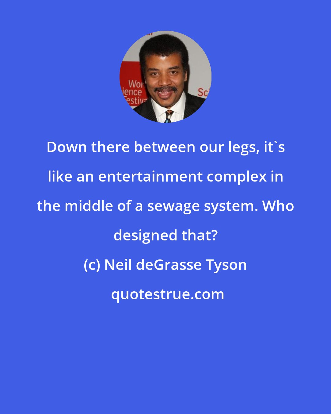 Neil deGrasse Tyson: Down there between our legs, it's like an entertainment complex in the middle of a sewage system. Who designed that?