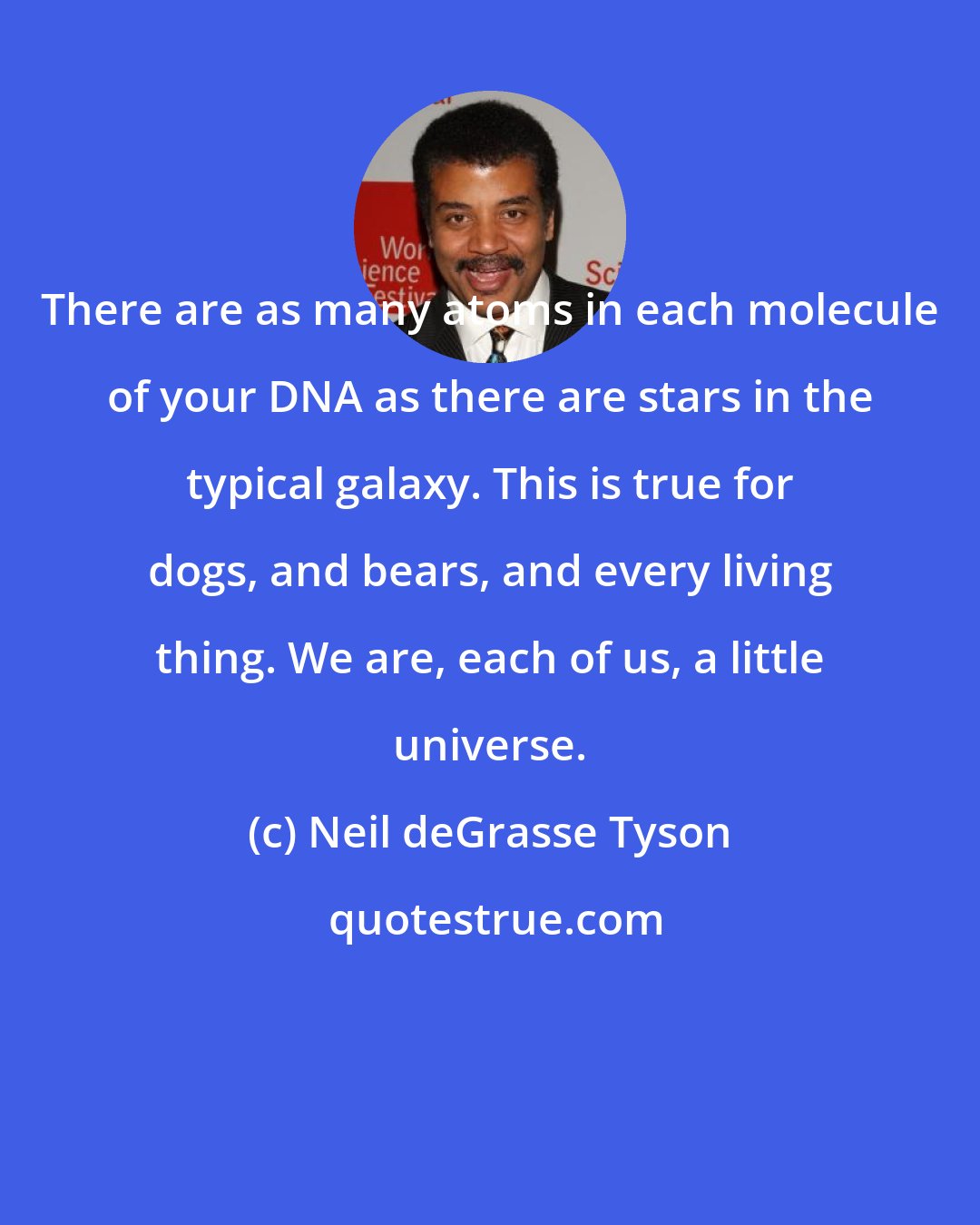 Neil deGrasse Tyson: There are as many atoms in each molecule of your DNA as there are stars in the typical galaxy. This is true for dogs, and bears, and every living thing. We are, each of us, a little universe.