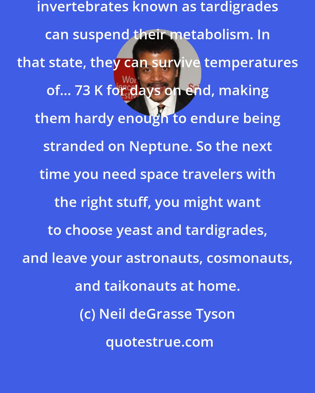 Neil deGrasse Tyson: When provoked, the itsy-bitsy invertebrates known as tardigrades can suspend their metabolism. In that state, they can survive temperatures of... 73 K for days on end, making them hardy enough to endure being stranded on Neptune. So the next time you need space travelers with the right stuff, you might want to choose yeast and tardigrades, and leave your astronauts, cosmonauts, and taikonauts at home.
