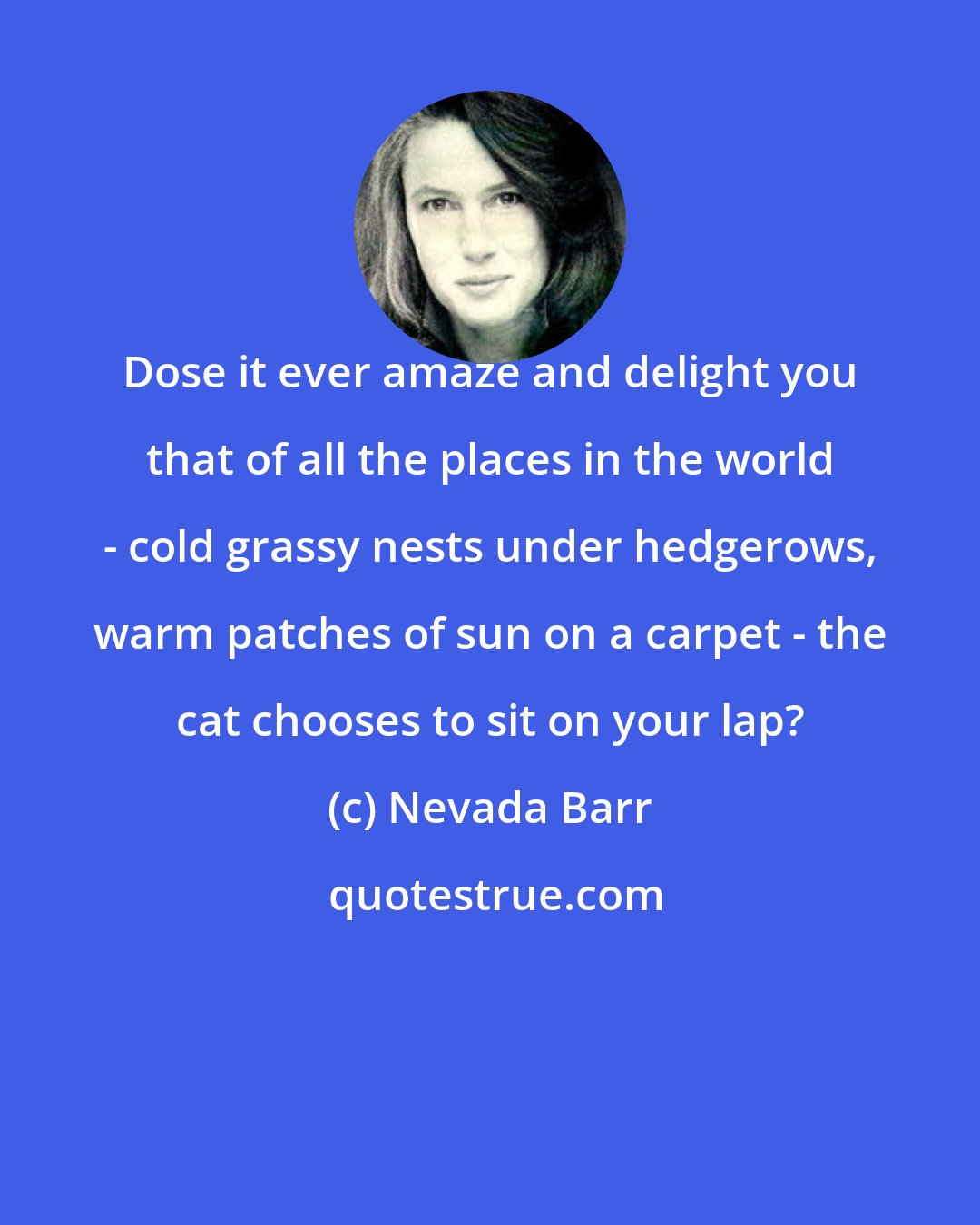 Nevada Barr: Dose it ever amaze and delight you that of all the places in the world - cold grassy nests under hedgerows, warm patches of sun on a carpet - the cat chooses to sit on your lap?