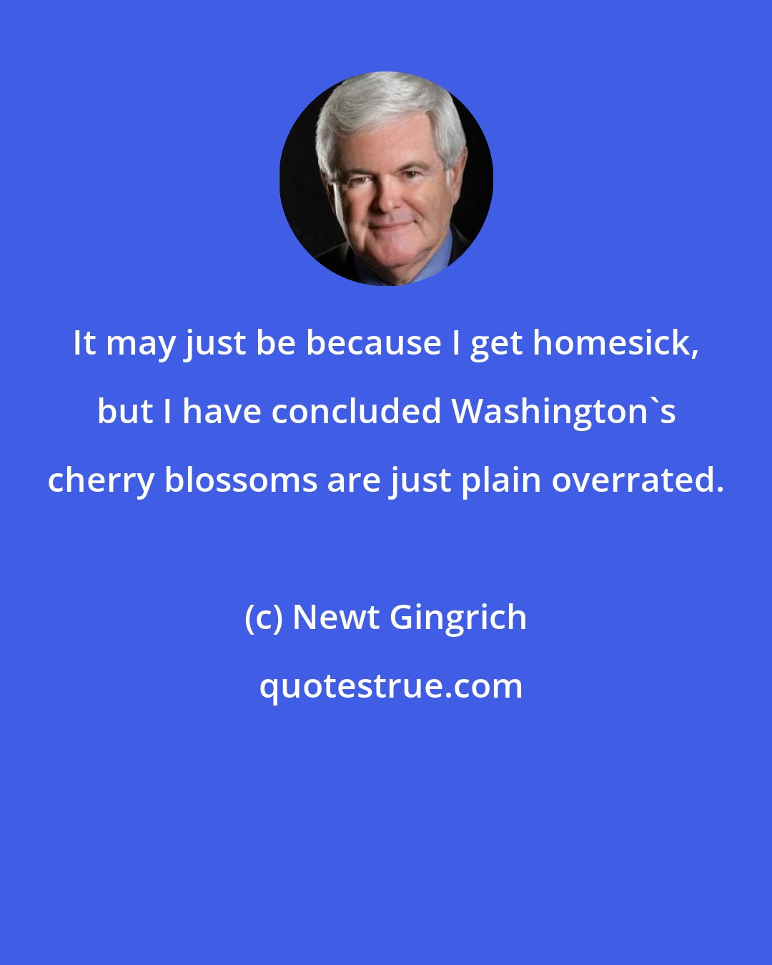 Newt Gingrich: It may just be because I get homesick, but I have concluded Washington's cherry blossoms are just plain overrated.