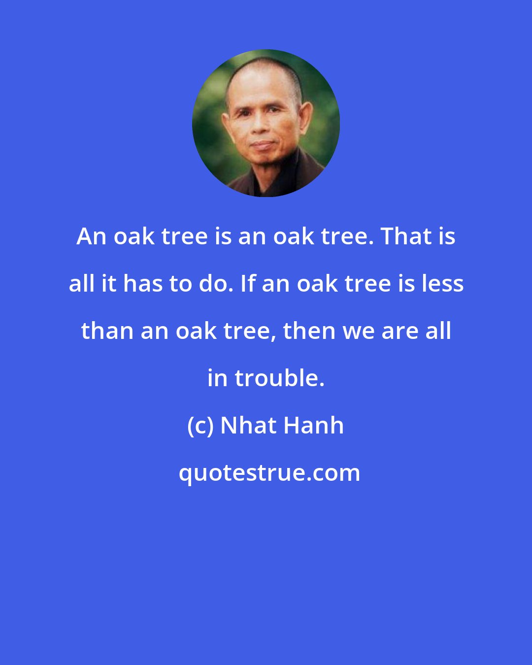 Nhat Hanh: An oak tree is an oak tree. That is all it has to do. If an oak tree is less than an oak tree, then we are all in trouble.