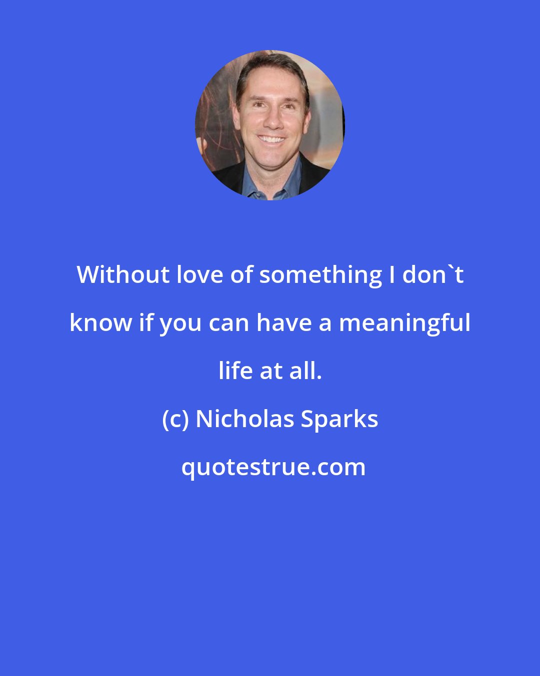 Nicholas Sparks: Without love of something I don't know if you can have a meaningful life at all.