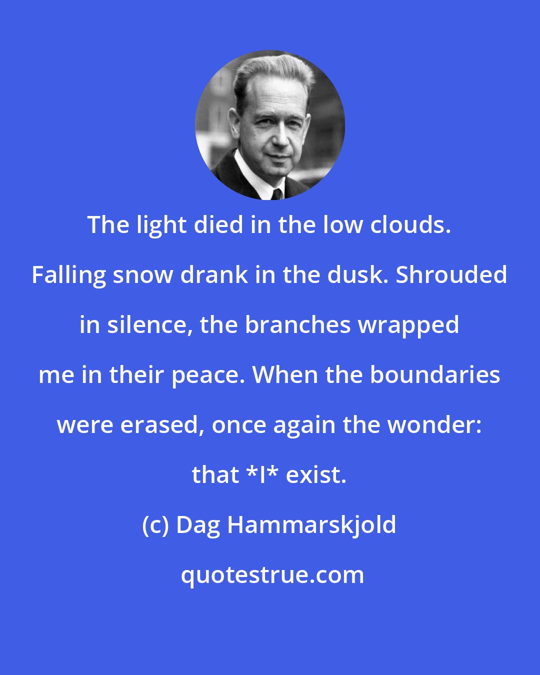 Dag Hammarskjold: The light died in the low clouds. Falling snow drank in the dusk. Shrouded in silence, the branches wrapped me in their peace. When the boundaries were erased, once again the wonder: that *I* exist.