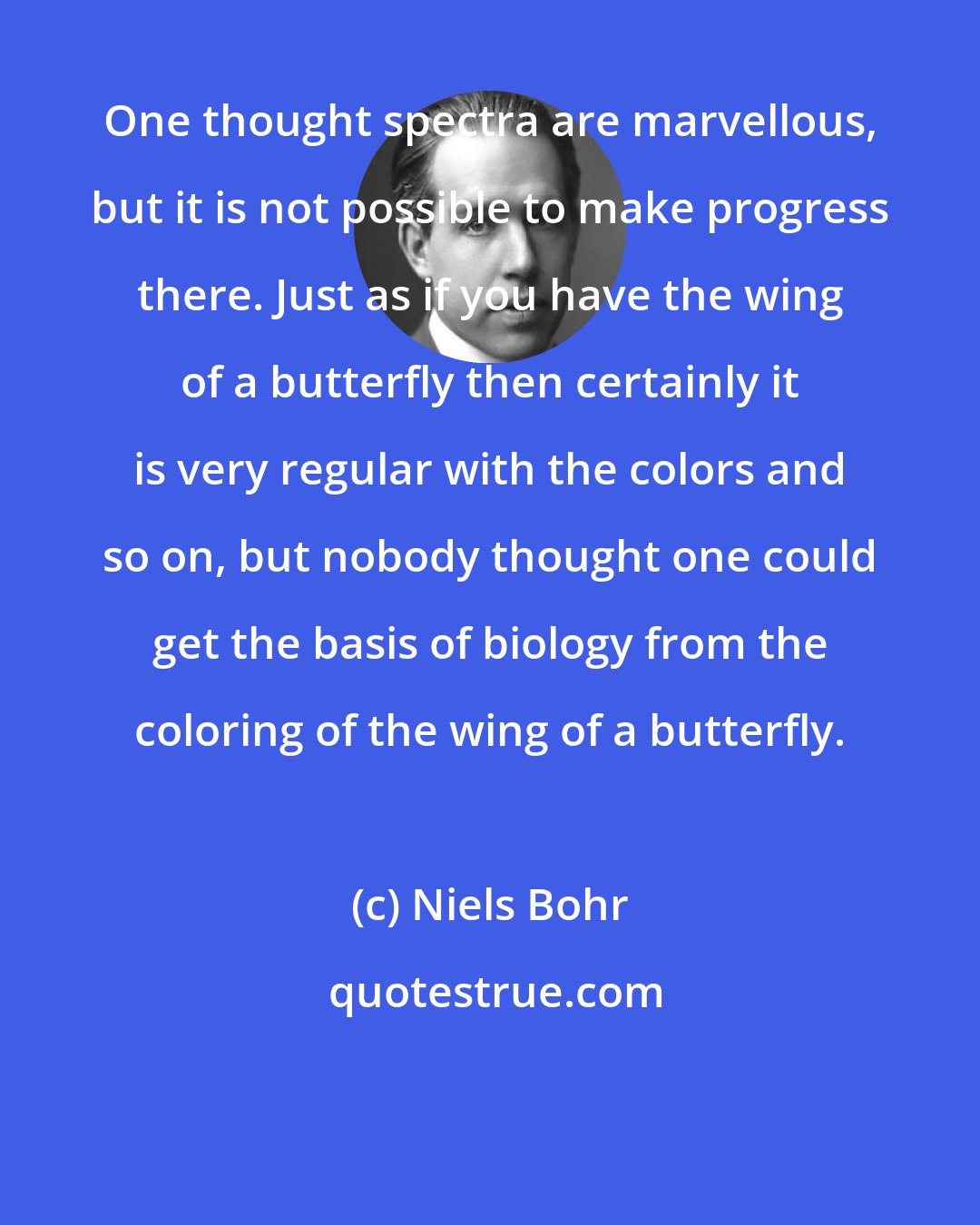 Niels Bohr: One thought spectra are marvellous, but it is not possible to make progress there. Just as if you have the wing of a butterfly then certainly it is very regular with the colors and so on, but nobody thought one could get the basis of biology from the coloring of the wing of a butterfly.