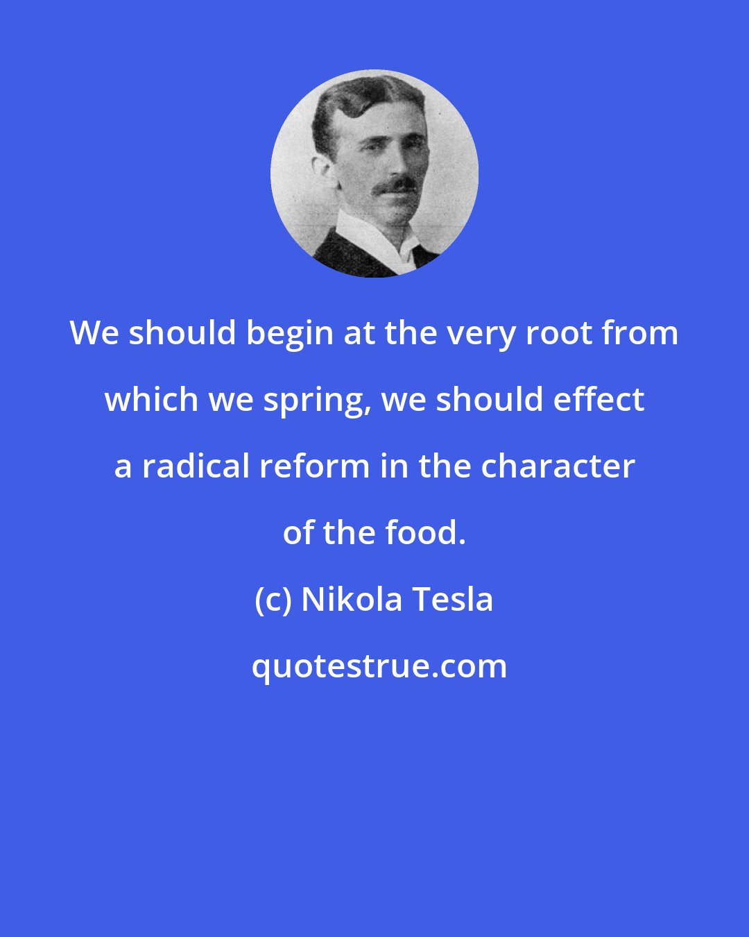 Nikola Tesla: We should begin at the very root from which we spring, we should effect a radical reform in the character of the food.