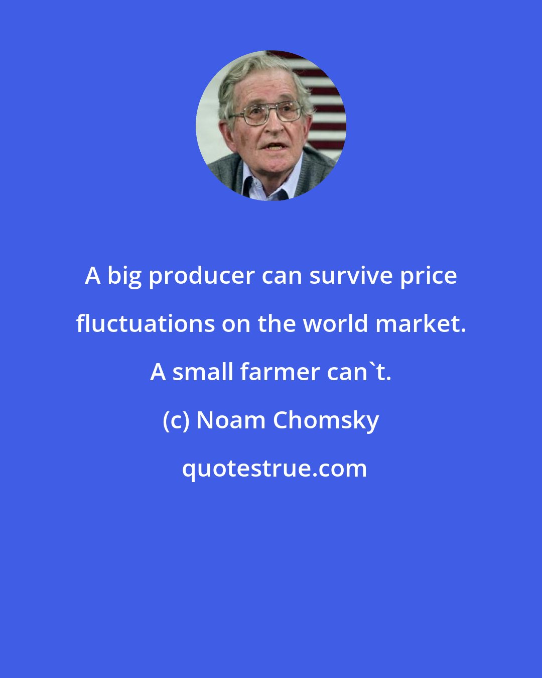 Noam Chomsky: A big producer can survive price fluctuations on the world market. A small farmer can't.