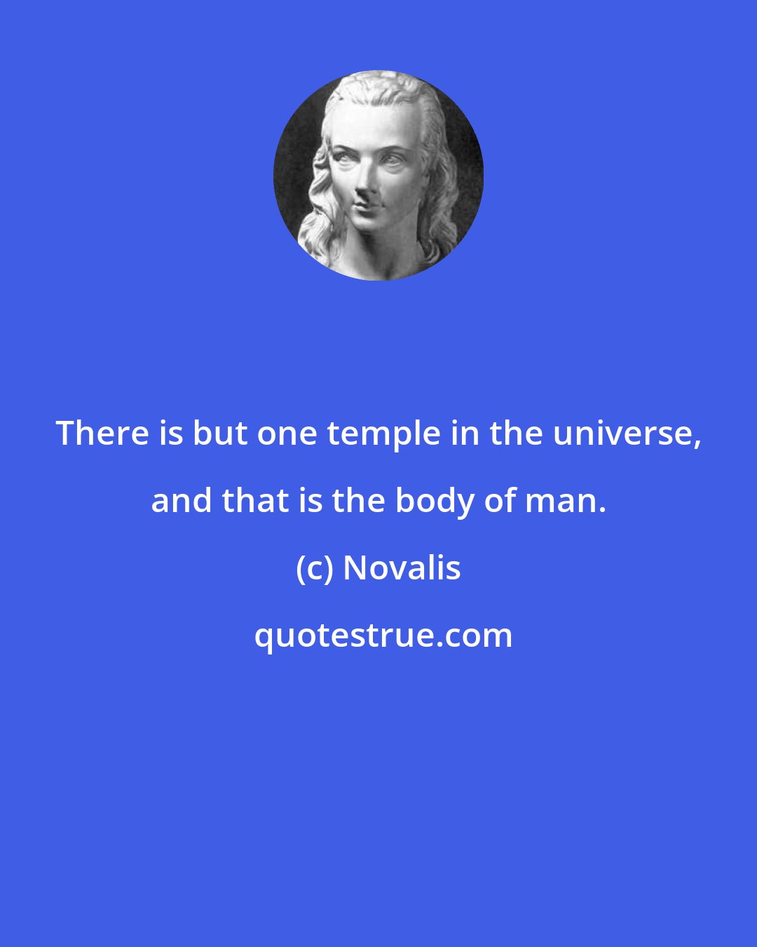 Novalis: There is but one temple in the universe, and that is the body of man.