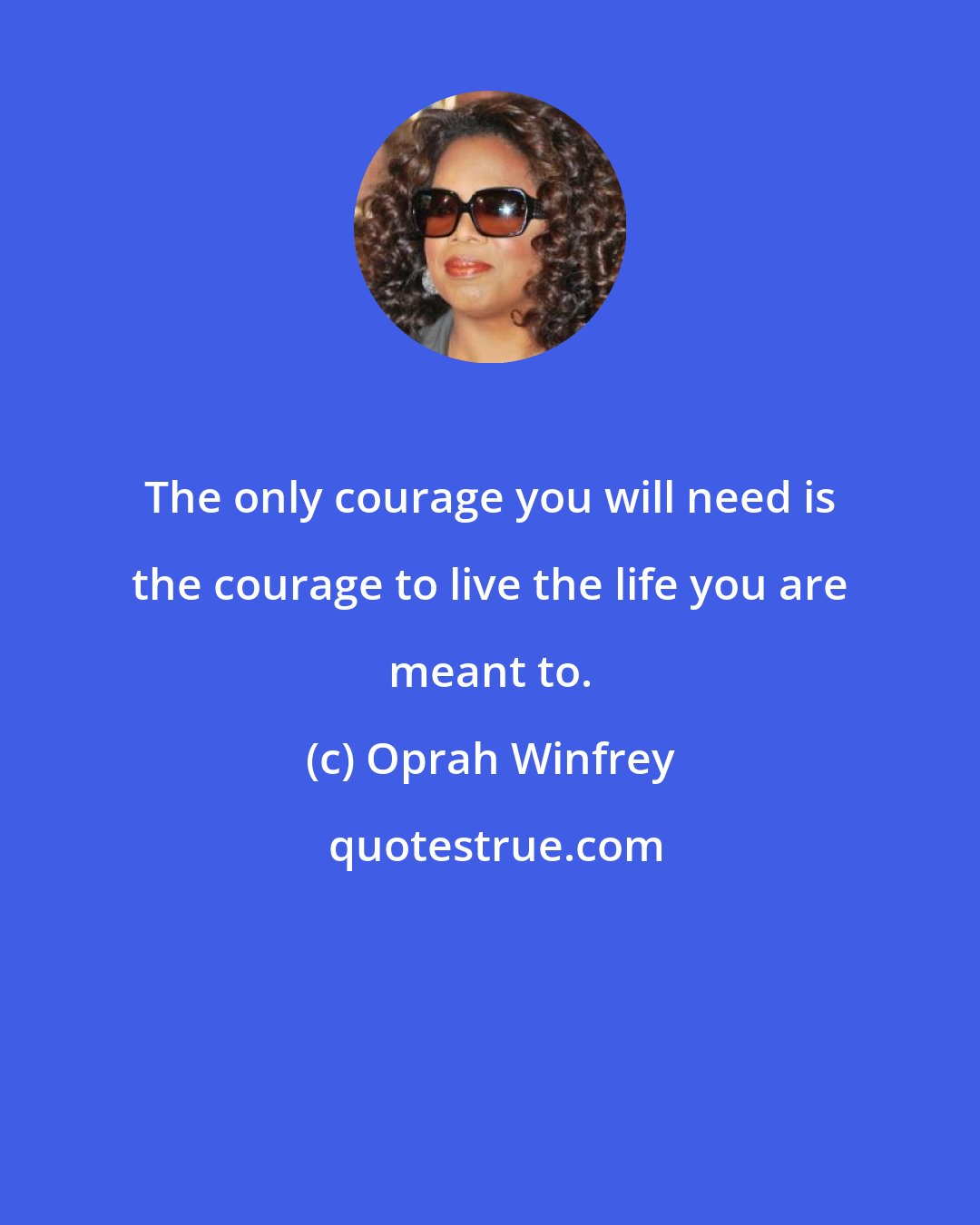 Oprah Winfrey: The only courage you will need is the courage to live the life you are meant to.