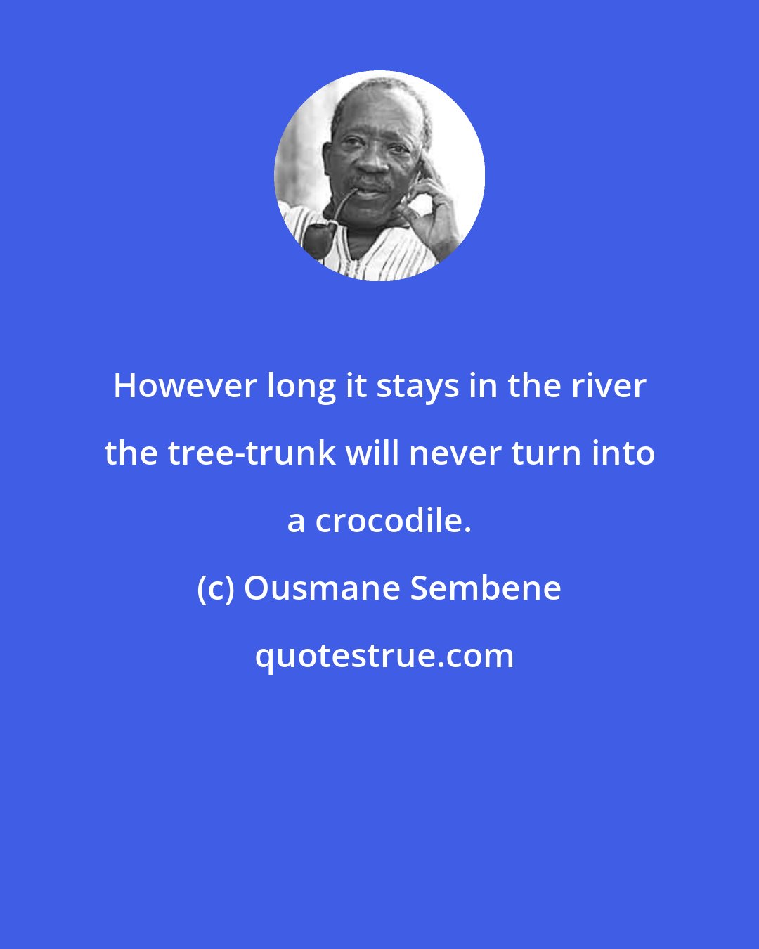 Ousmane Sembene: However long it stays in the river the tree-trunk will never turn into a crocodile.