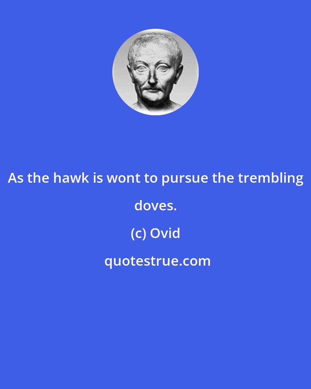 Ovid: As the hawk is wont to pursue the trembling doves.