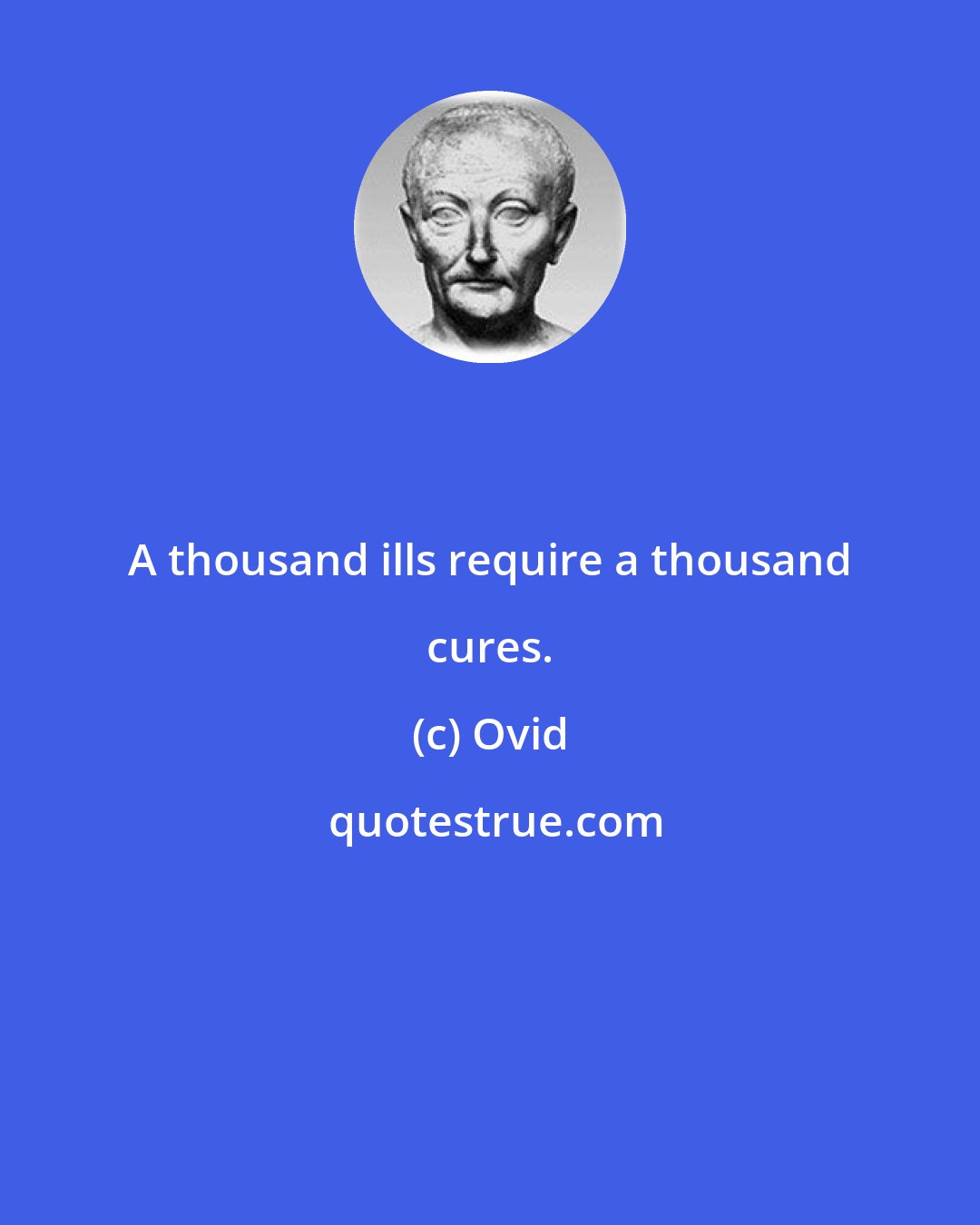 Ovid: A thousand ills require a thousand cures.