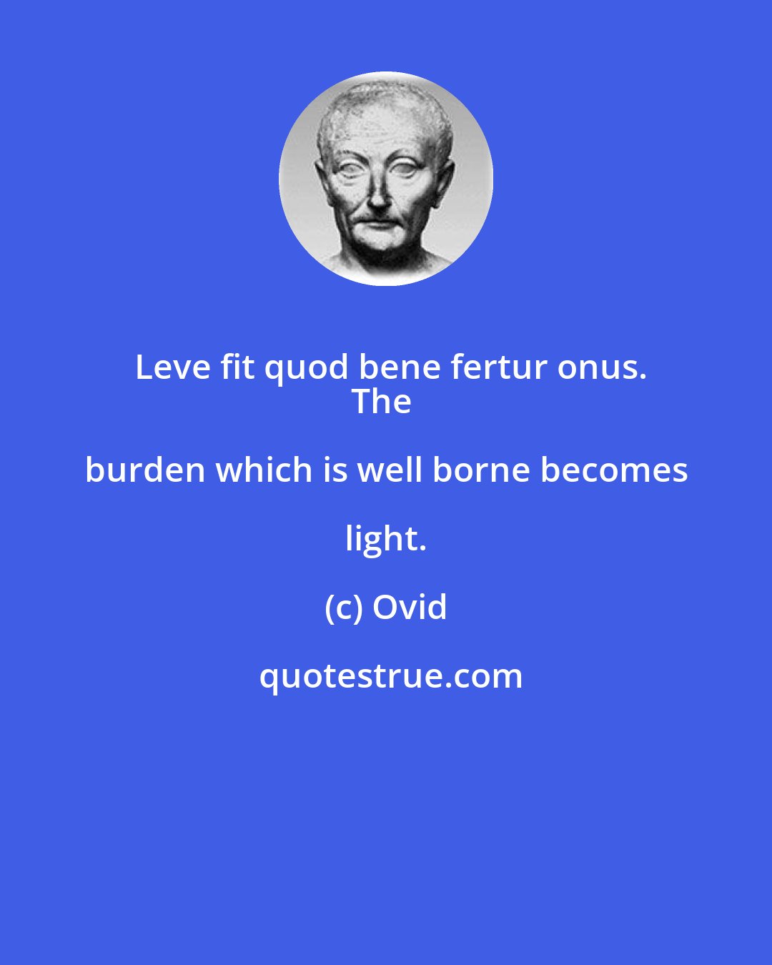 Ovid: Leve fit quod bene fertur onus.
The burden which is well borne becomes light.