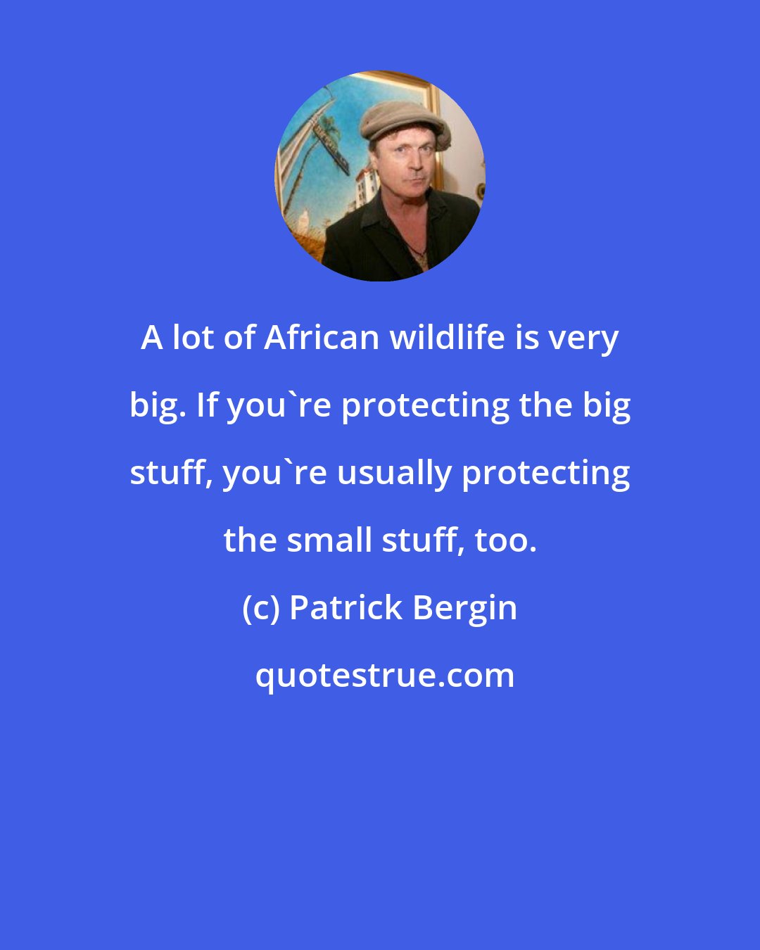 Patrick Bergin: A lot of African wildlife is very big. If you're protecting the big stuff, you're usually protecting the small stuff, too.