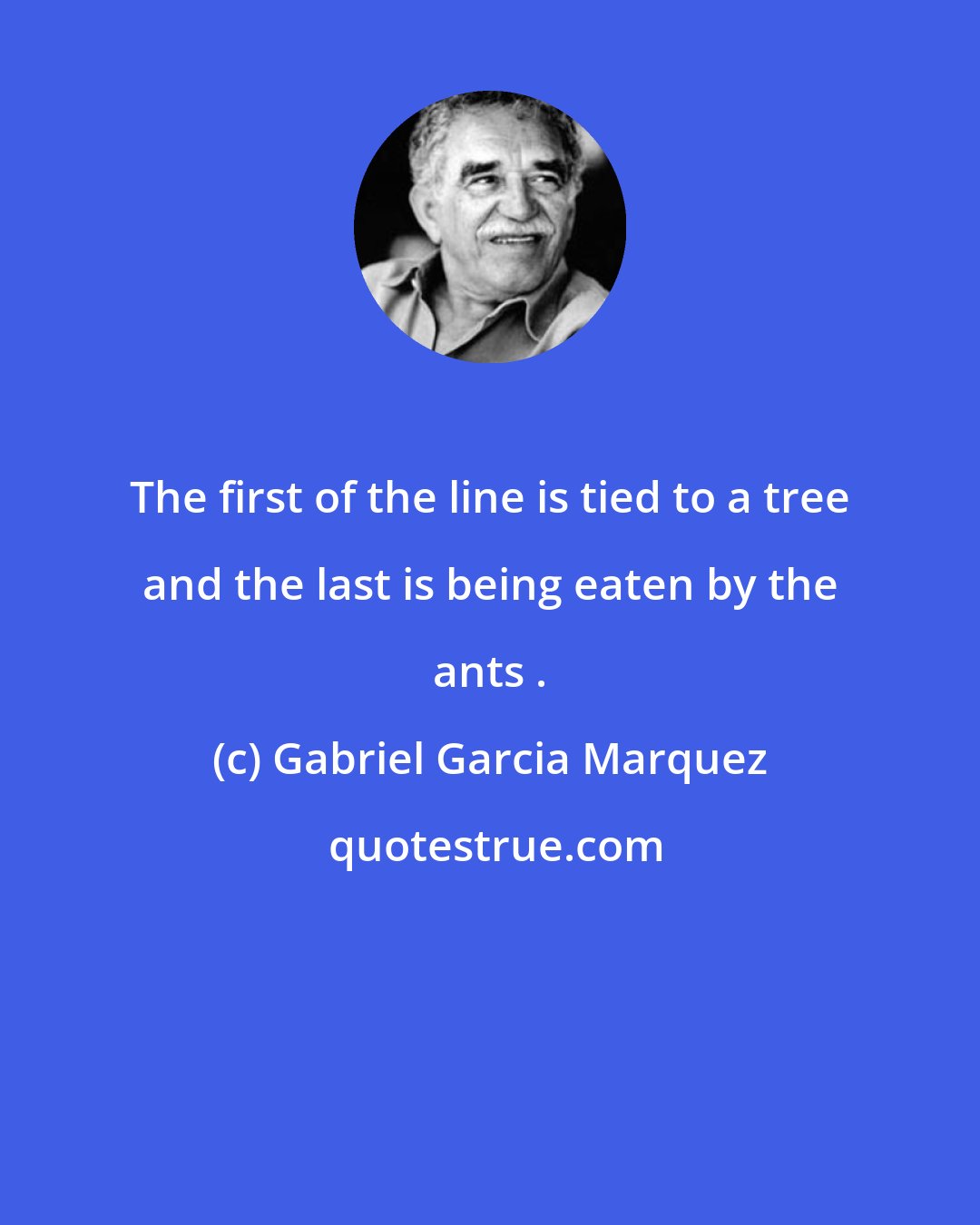 Gabriel Garcia Marquez: The first of the line is tied to a tree and the last is being eaten by the ants .