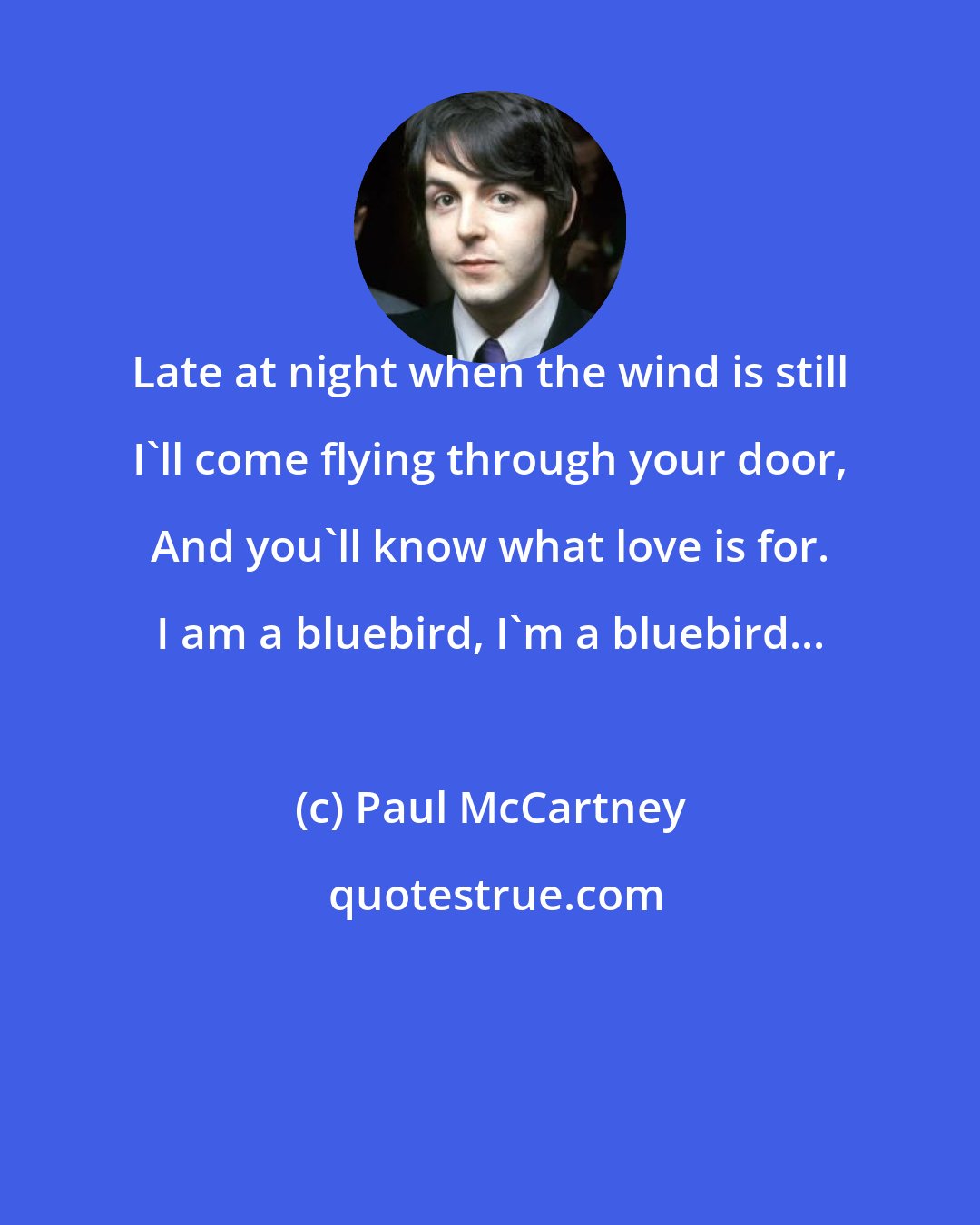 Paul McCartney: Late at night when the wind is still I'll come flying through your door, And you'll know what love is for. I am a bluebird, I'm a bluebird...