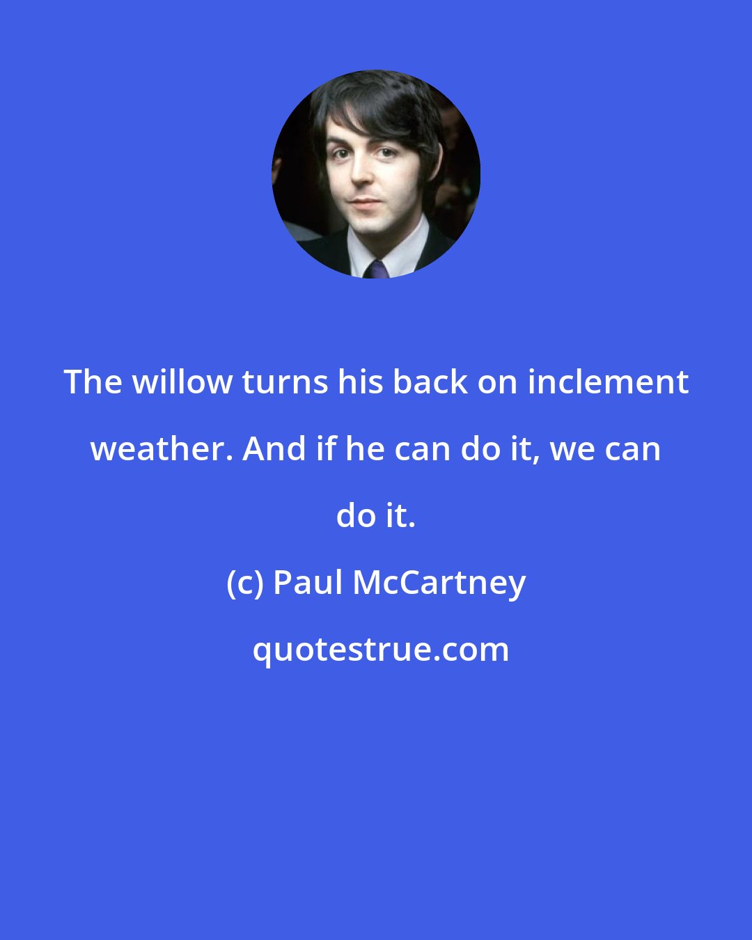 Paul McCartney: The willow turns his back on inclement weather. And if he can do it, we can do it.