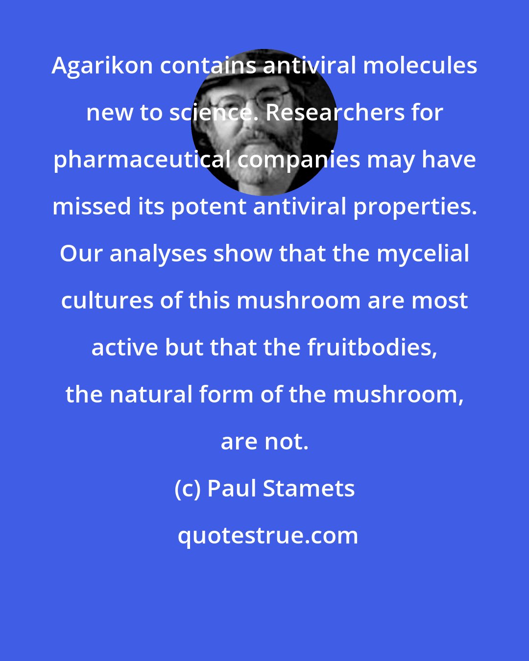 Paul Stamets: Agarikon contains antiviral molecules new to science. Researchers for pharmaceutical companies may have missed its potent antiviral properties. Our analyses show that the mycelial cultures of this mushroom are most active but that the fruitbodies, the natural form of the mushroom, are not.