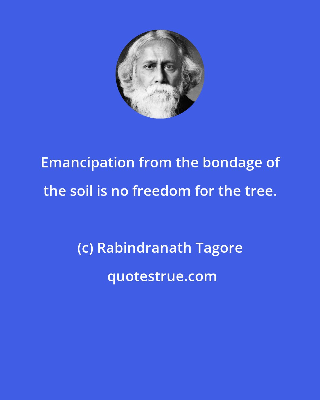 Rabindranath Tagore: Emancipation from the bondage of the soil is no freedom for the tree.