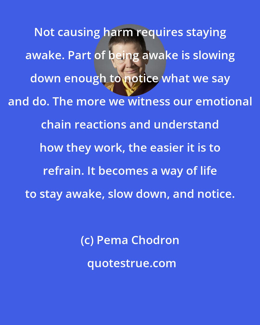 Pema Chodron: Not causing harm requires staying awake. Part of being awake is slowing down enough to notice what we say and do. The more we witness our emotional chain reactions and understand how they work, the easier it is to refrain. It becomes a way of life to stay awake, slow down, and notice.