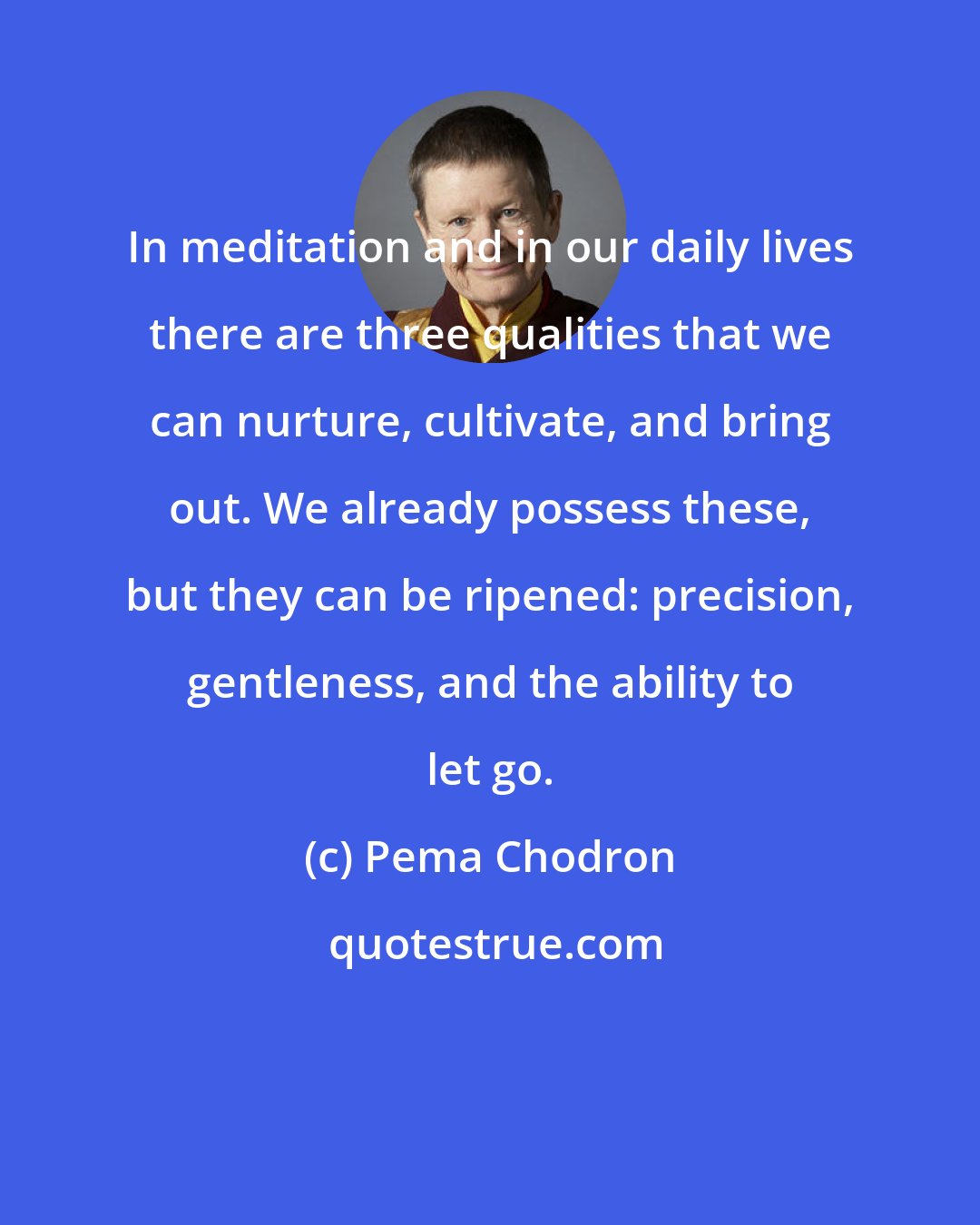 Pema Chodron: In meditation and in our daily lives there are three qualities that we can nurture, cultivate, and bring out. We already possess these, but they can be ripened: precision, gentleness, and the ability to let go.