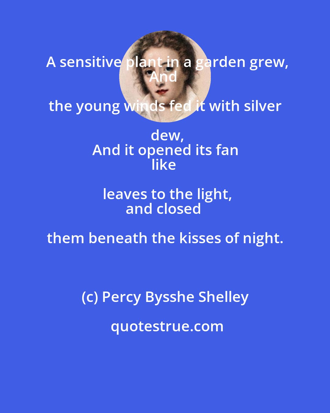 Percy Bysshe Shelley: A sensitive plant in a garden grew,
And the young winds fed it with silver dew,
And it opened its fan
like leaves to the light,
and closed them beneath the kisses of night.