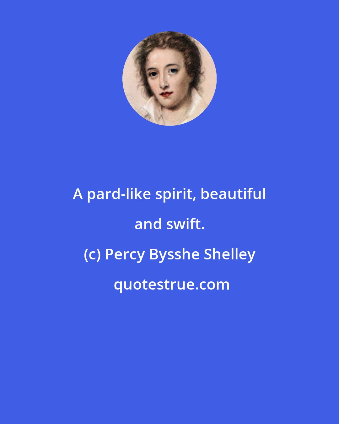 Percy Bysshe Shelley: A pard-like spirit, beautiful and swift.