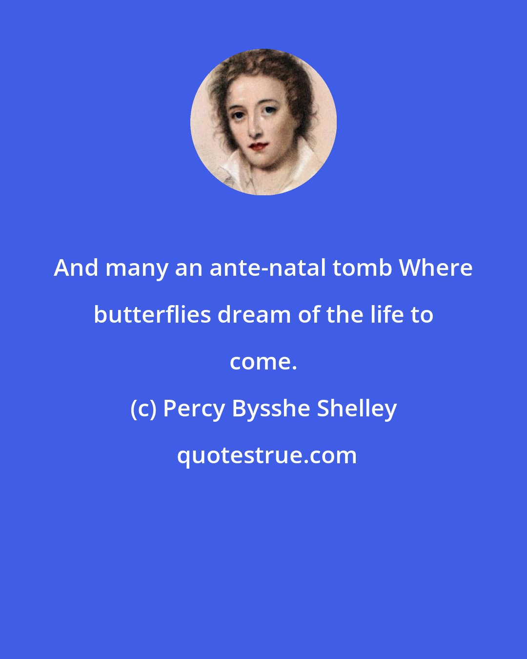 Percy Bysshe Shelley: And many an ante-natal tomb Where butterflies dream of the life to come.